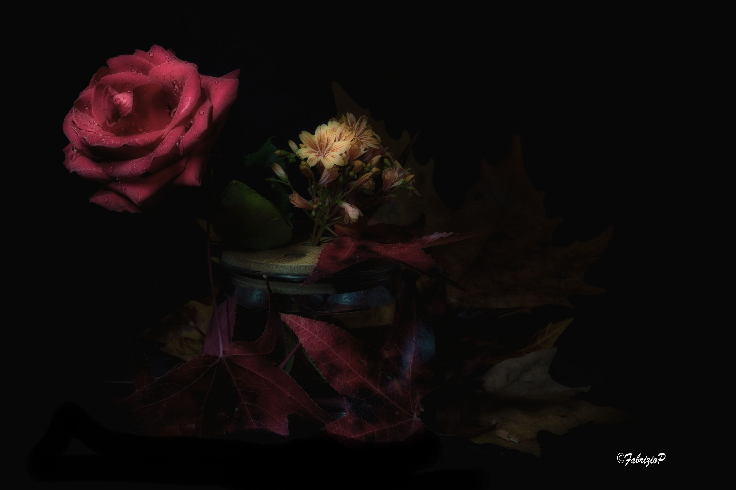 She always remains the Queen among the flowers