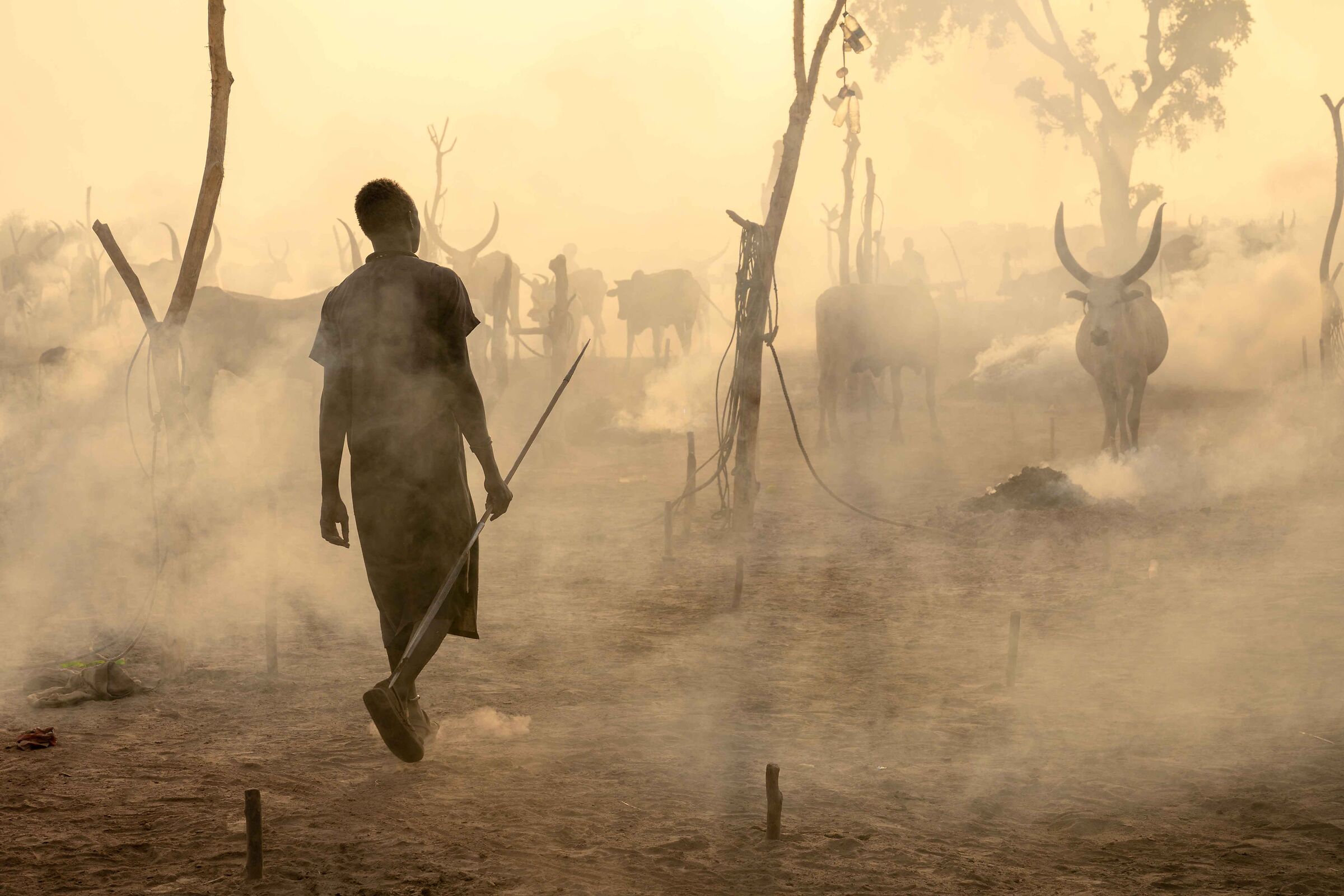 Smoke and Dust
