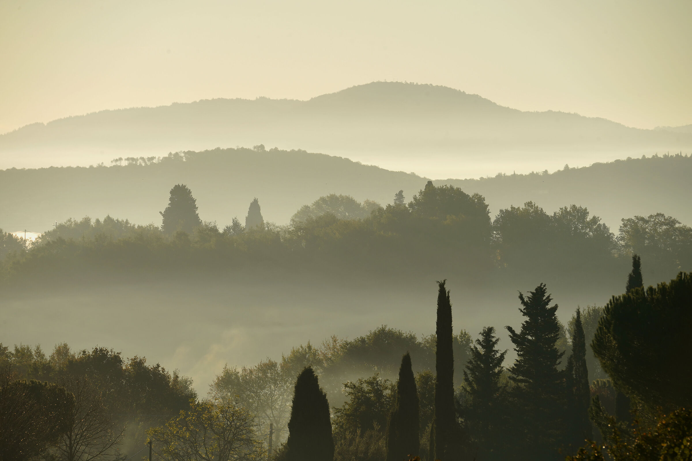 nebbia fra le colline