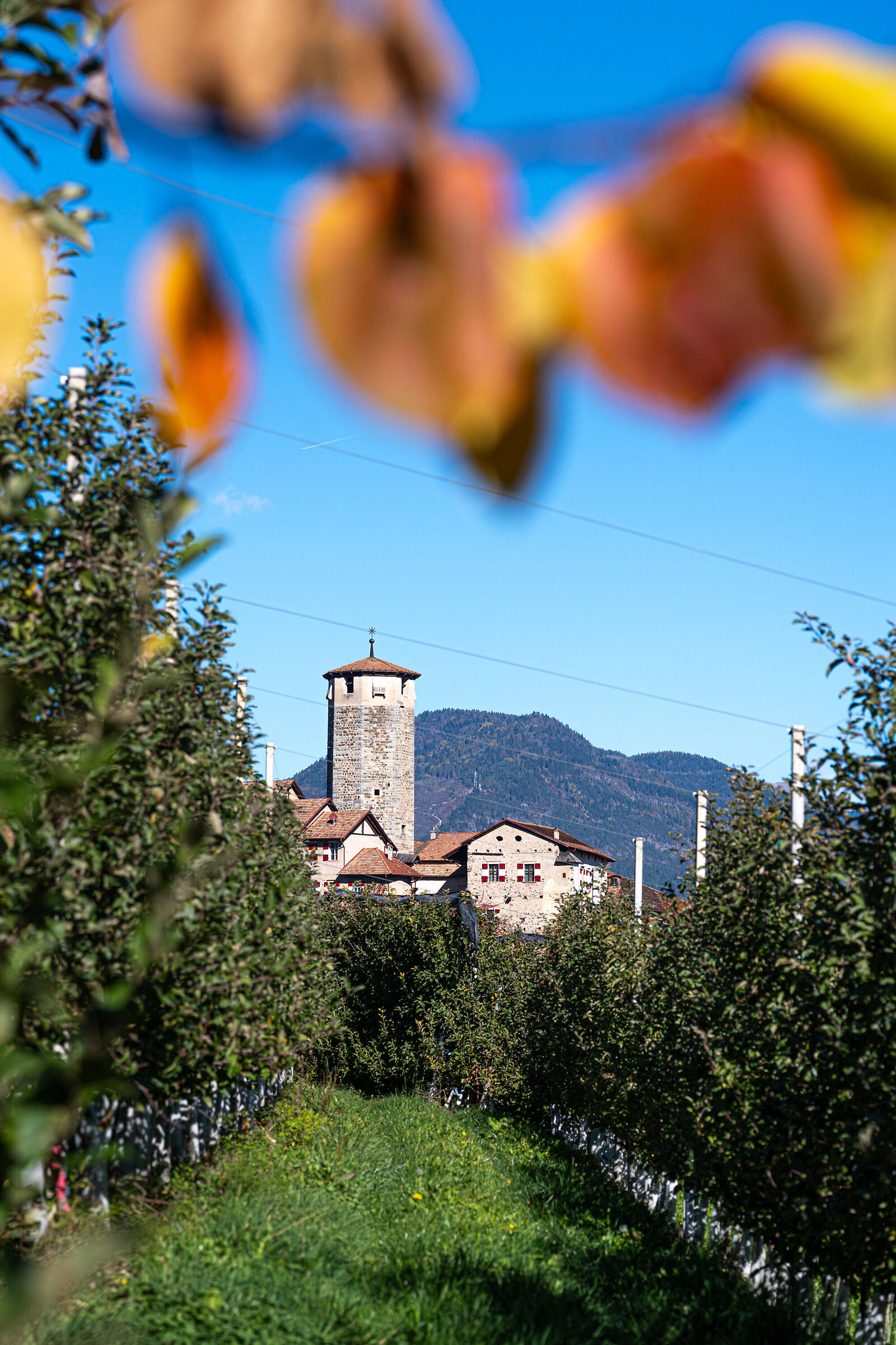 castel valer e i suoi meleti