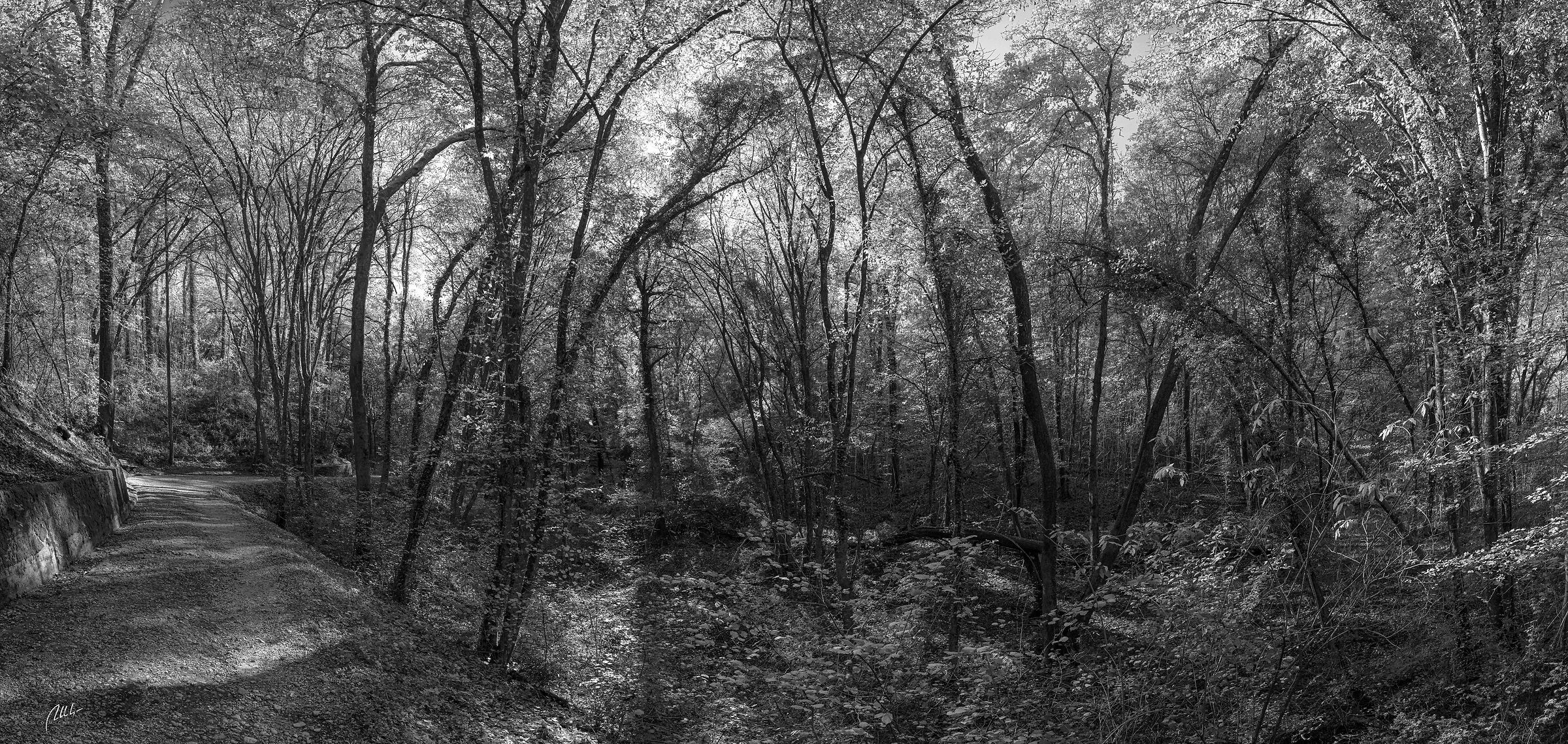 Colori d'autunno (ossimoro)