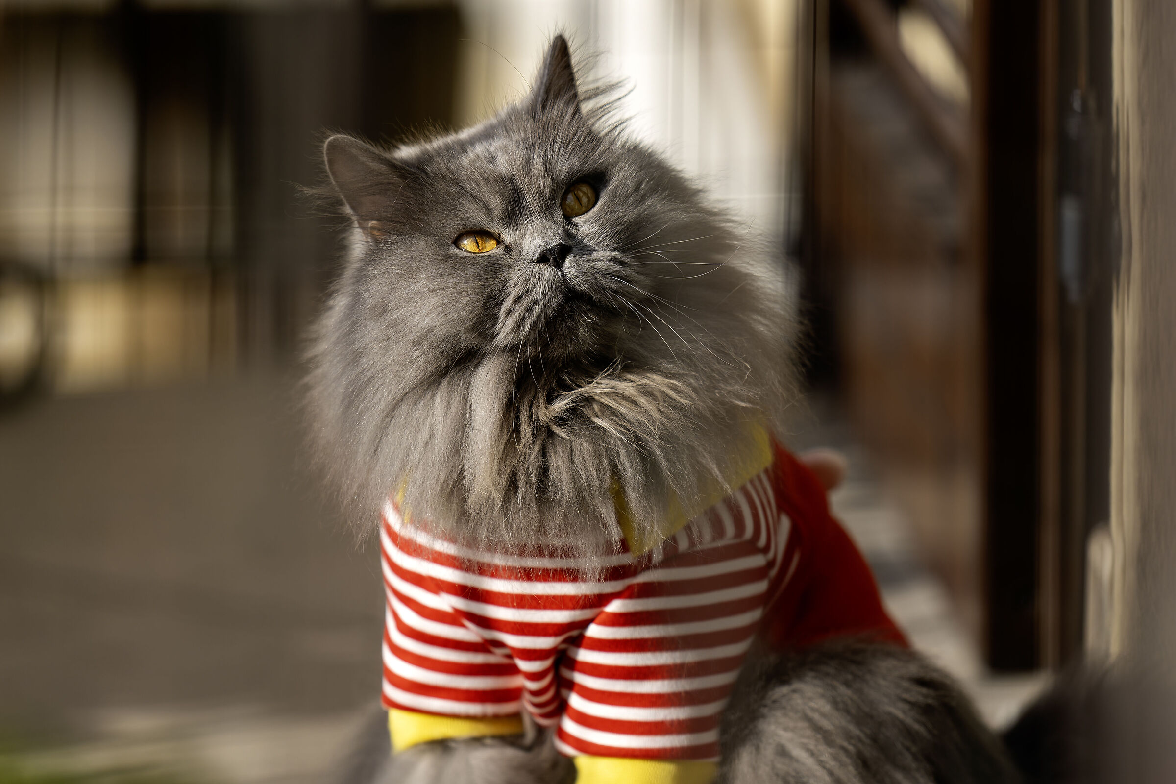 Sofia sul balcone a godersi il sole autunnale