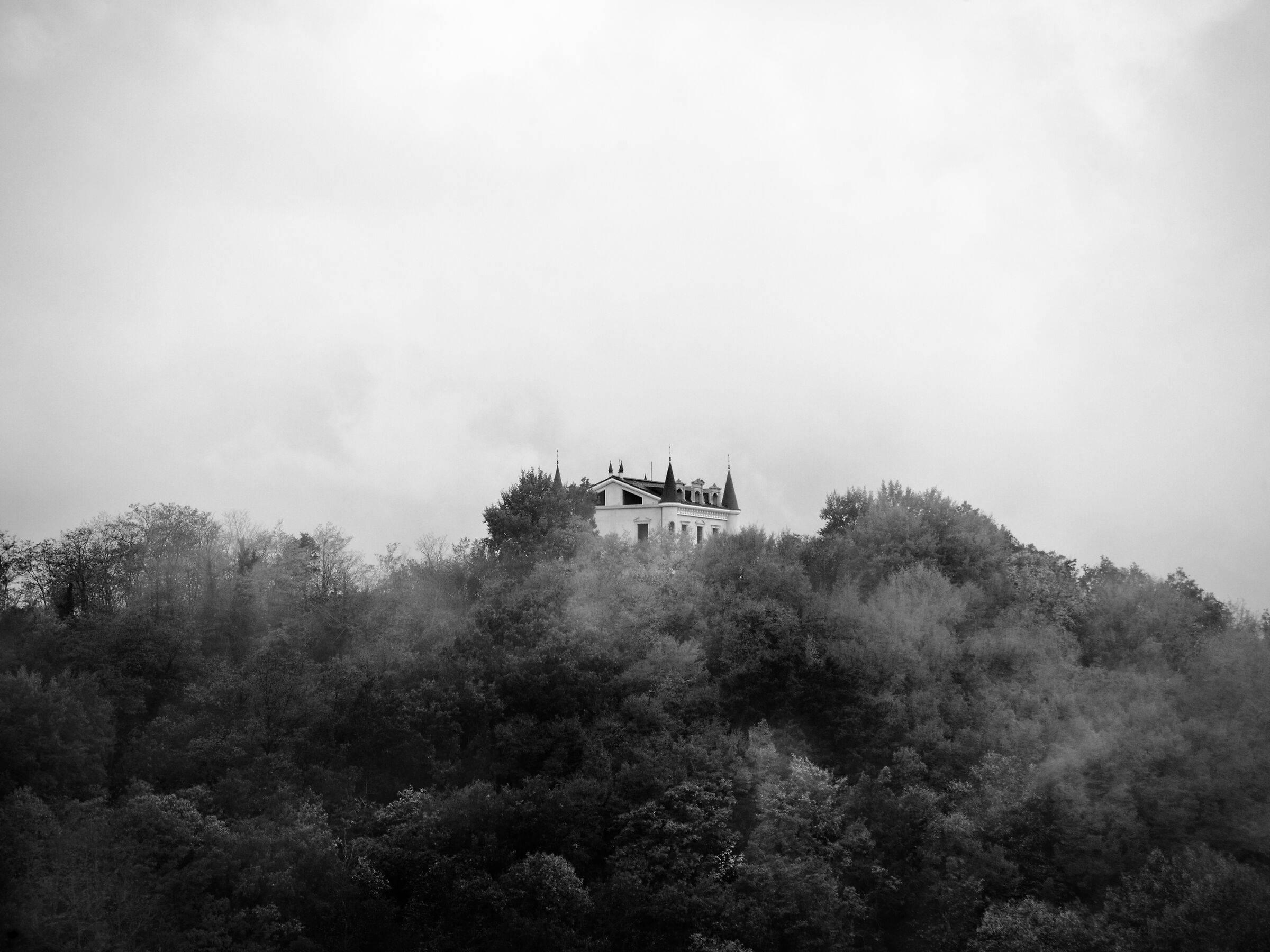 The misty castle
