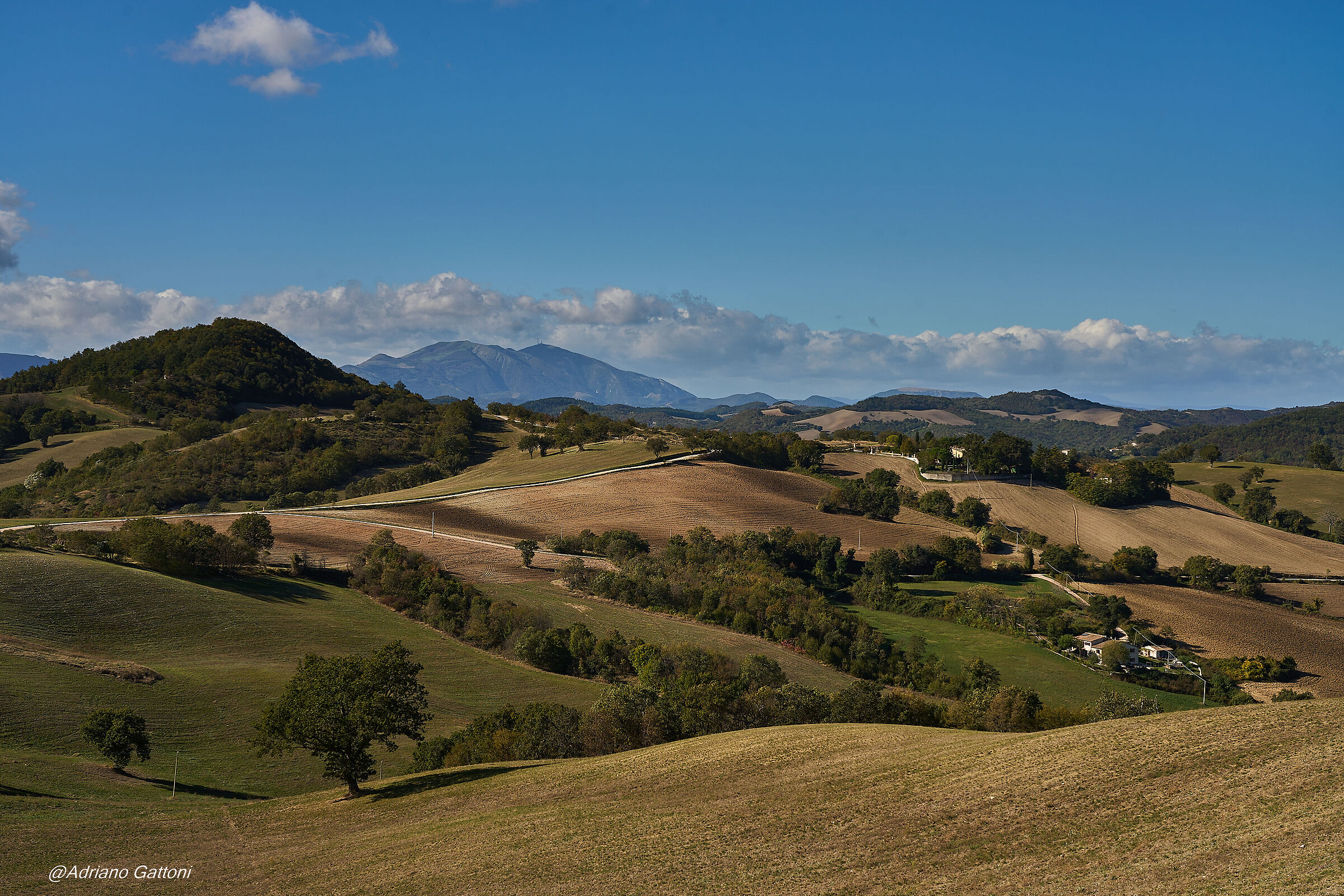 Pergolese countryside