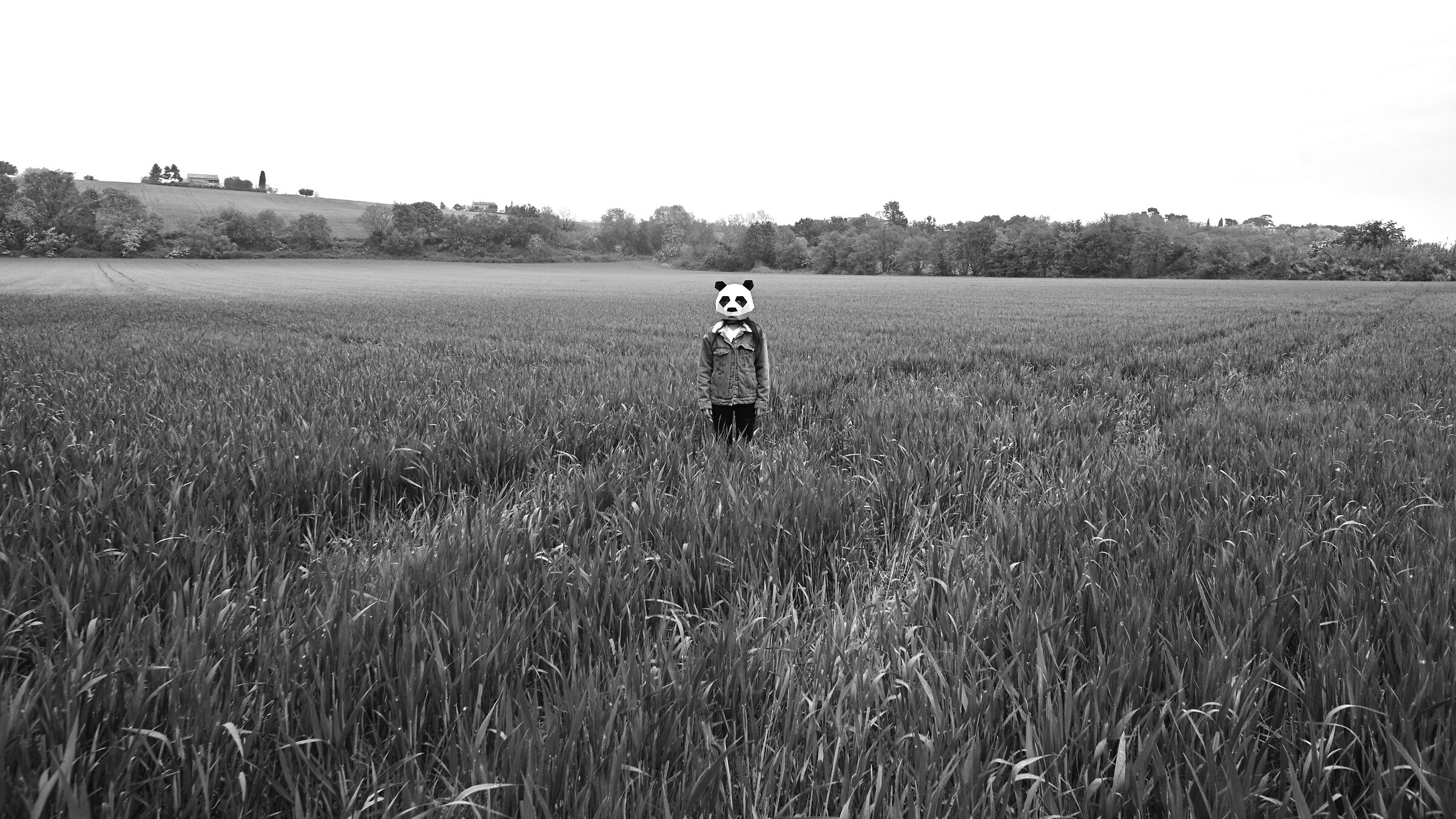 Field Appearance