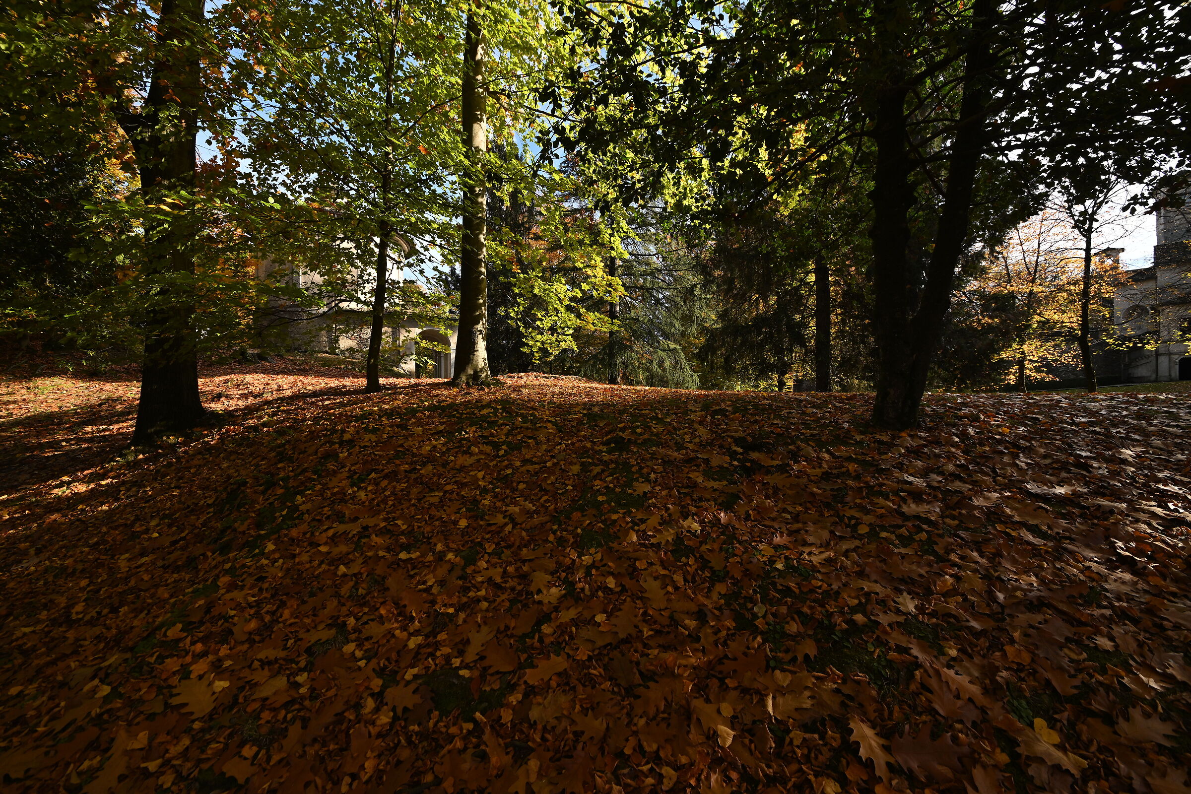 autumn colors Lake Orta