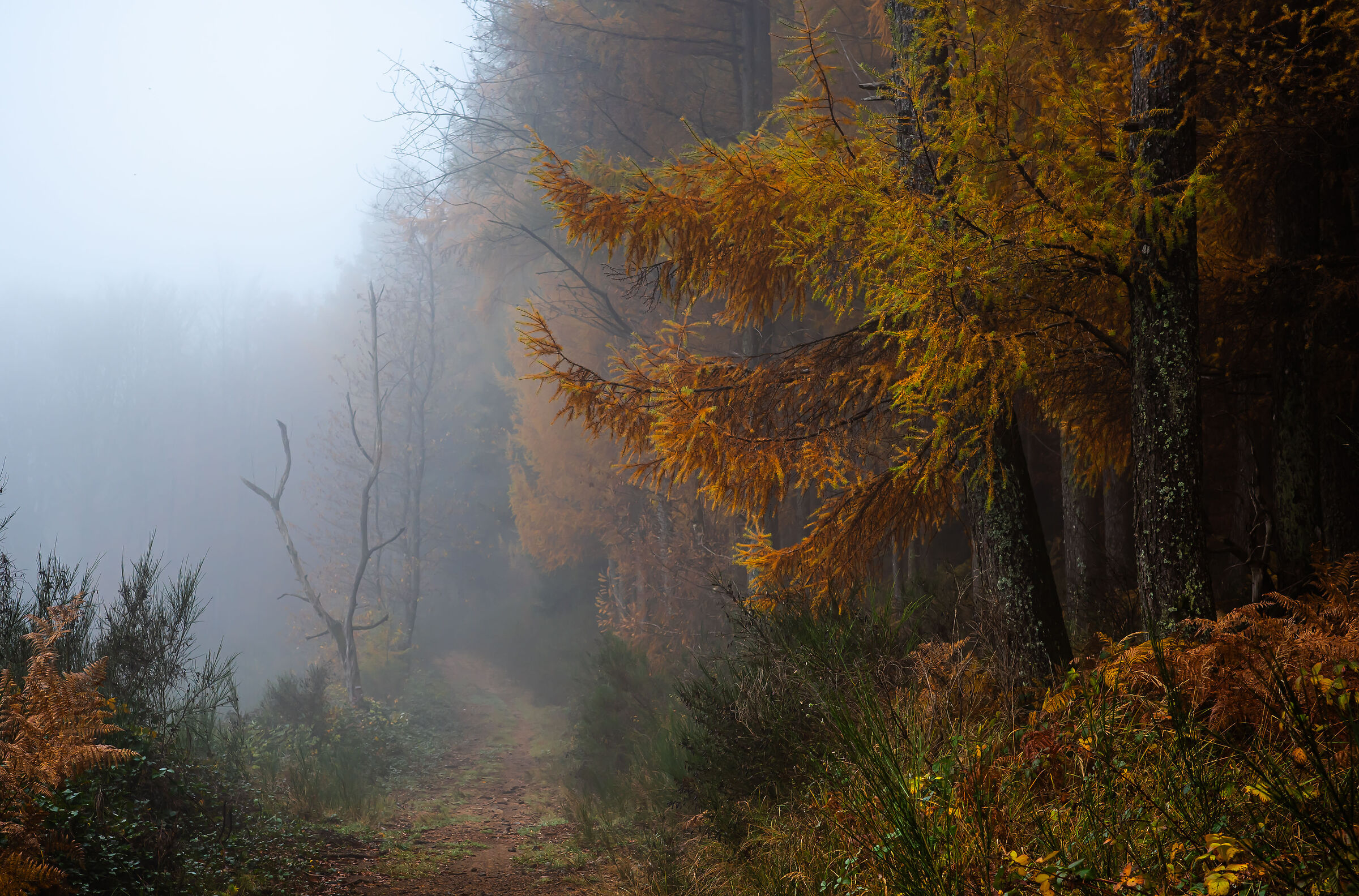 autunno 9