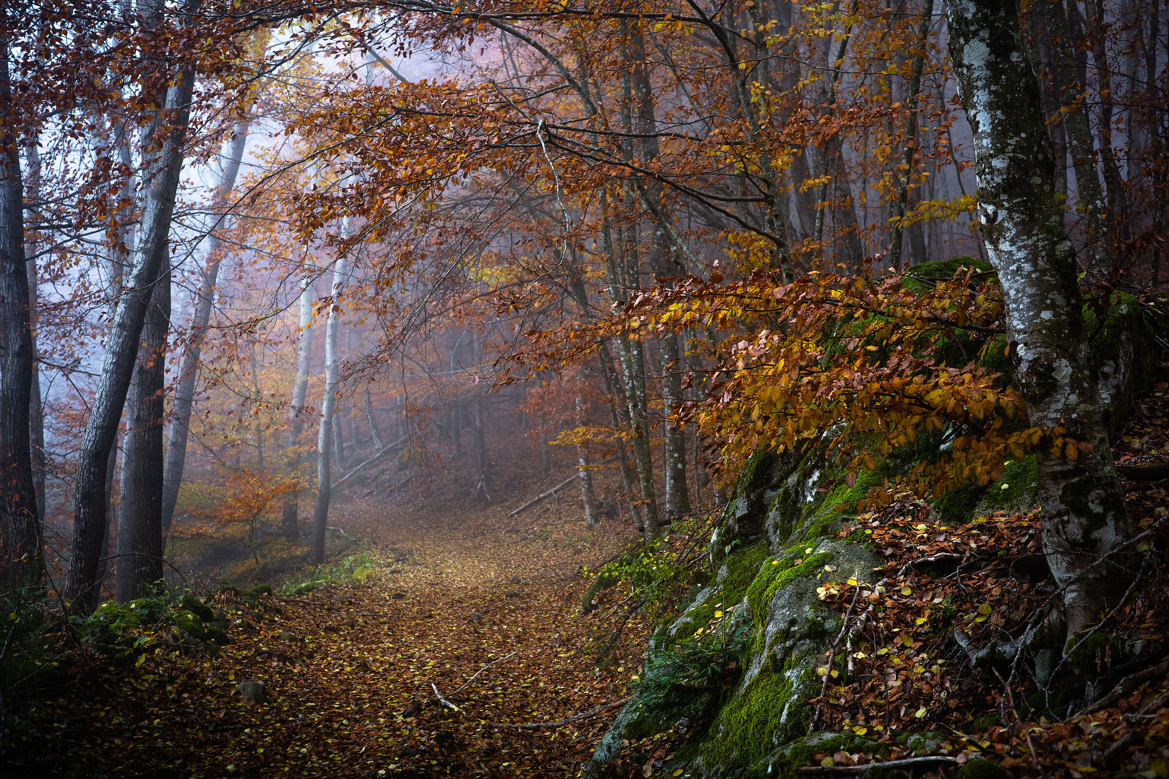 autunno 11