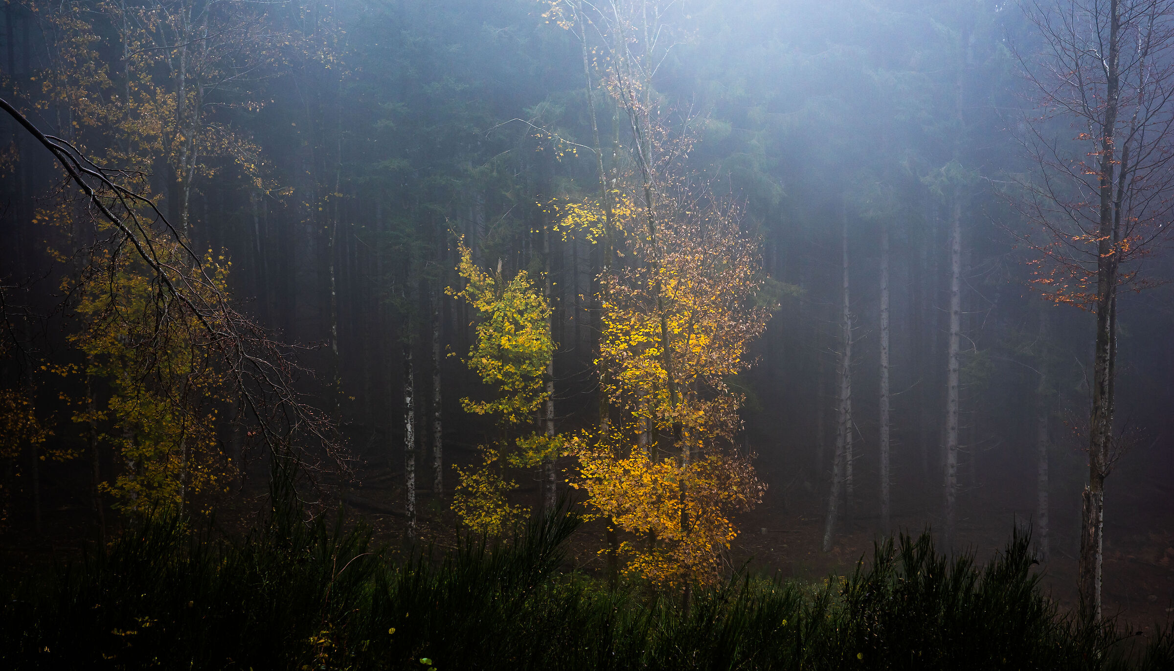 autunno 12