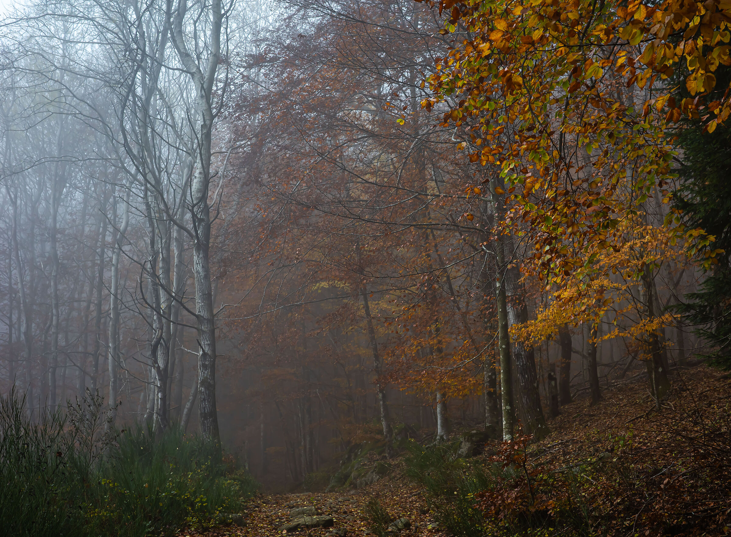 autunno 13