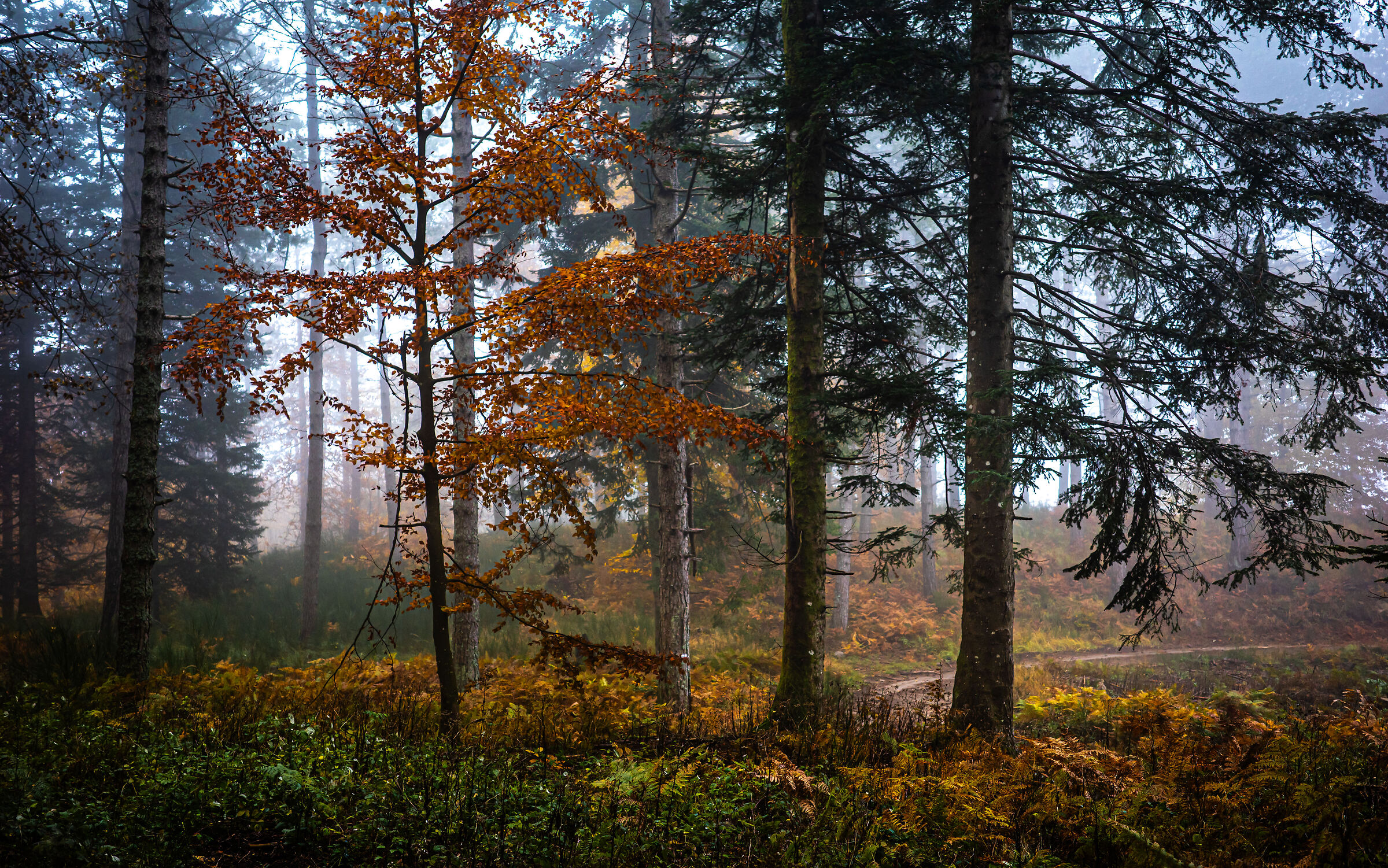 autunno 20