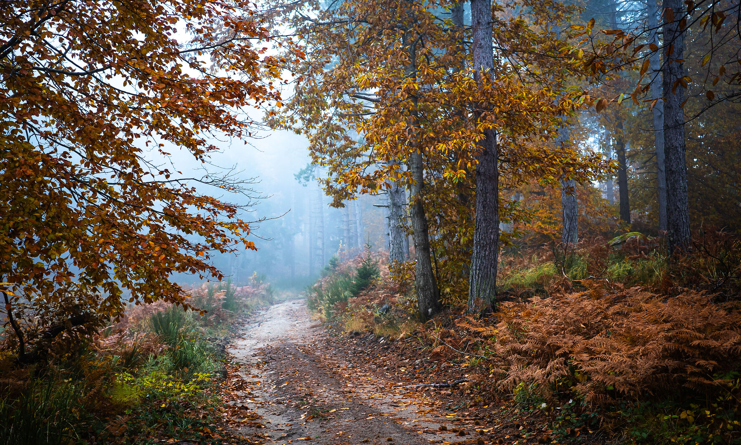 autunno 24