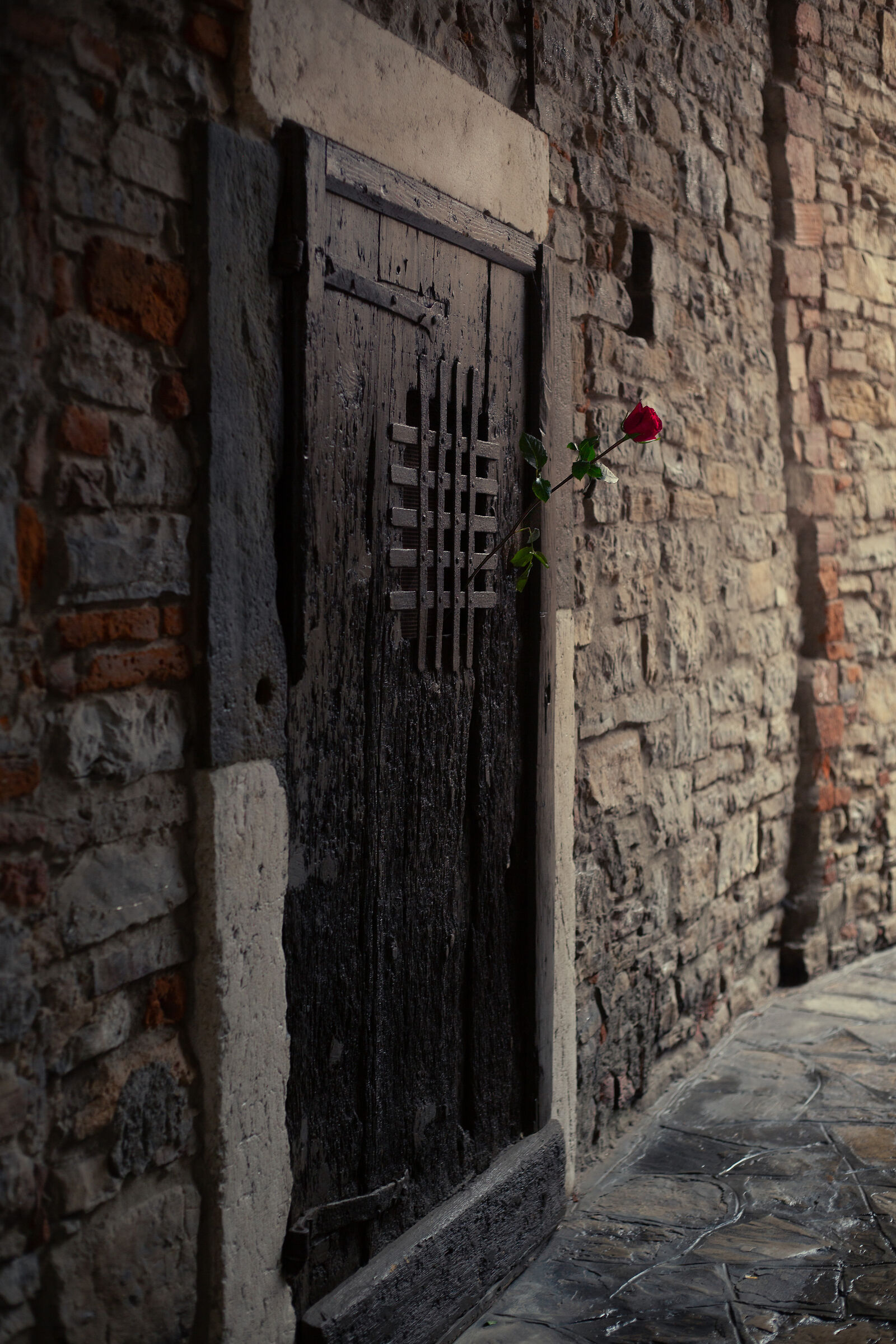 Wood rose