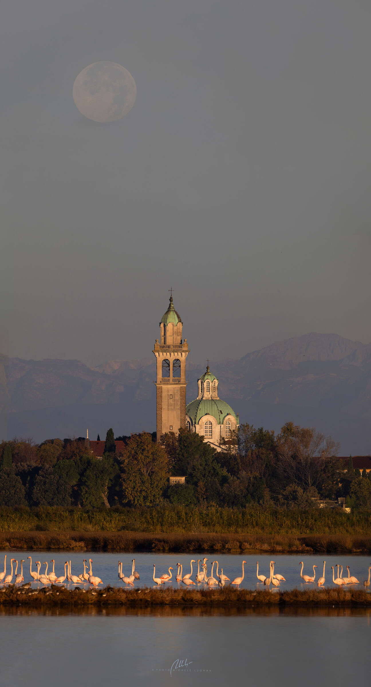 the beaver moon over the flamingos