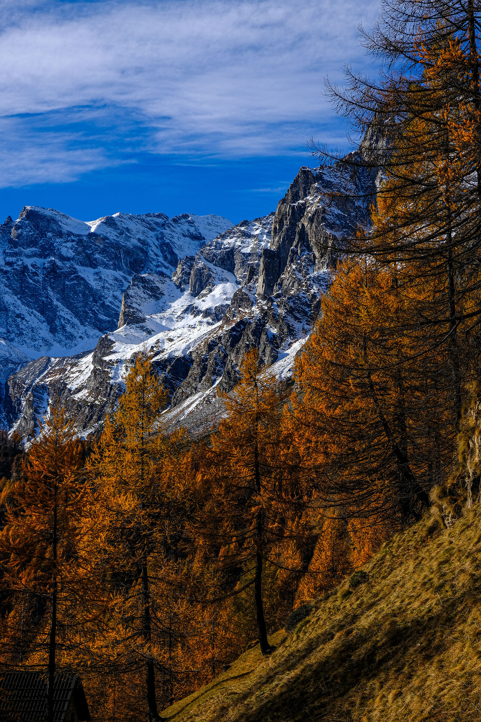 Passaggio di consegne