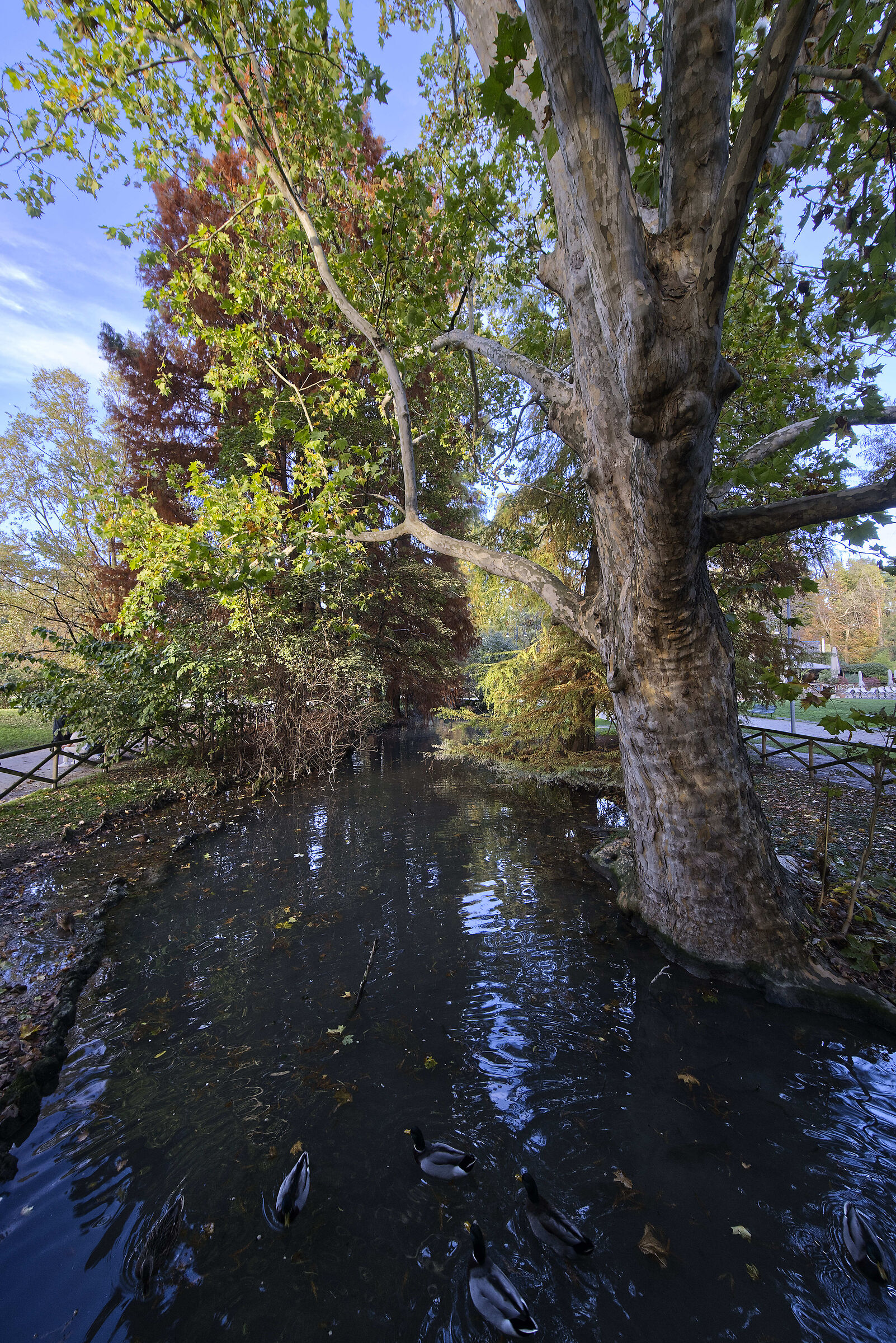 Milano Parco Sempione