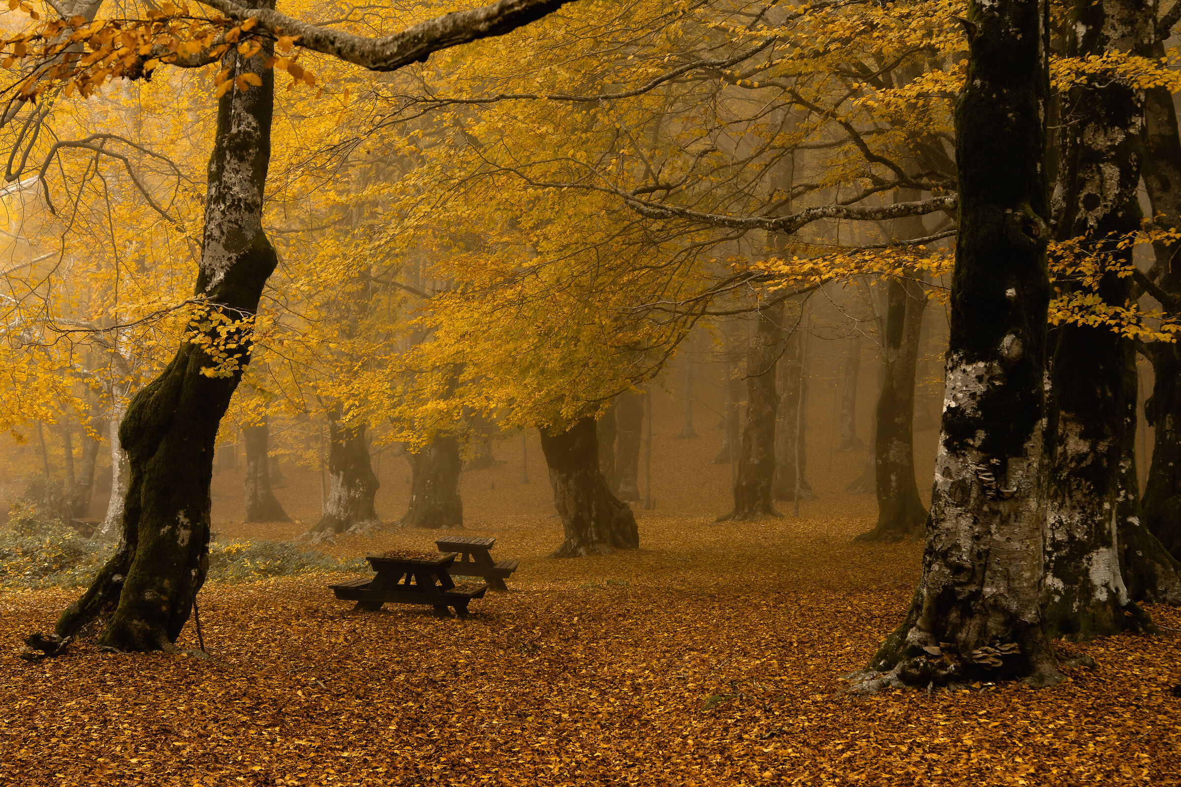 Untitled Photo