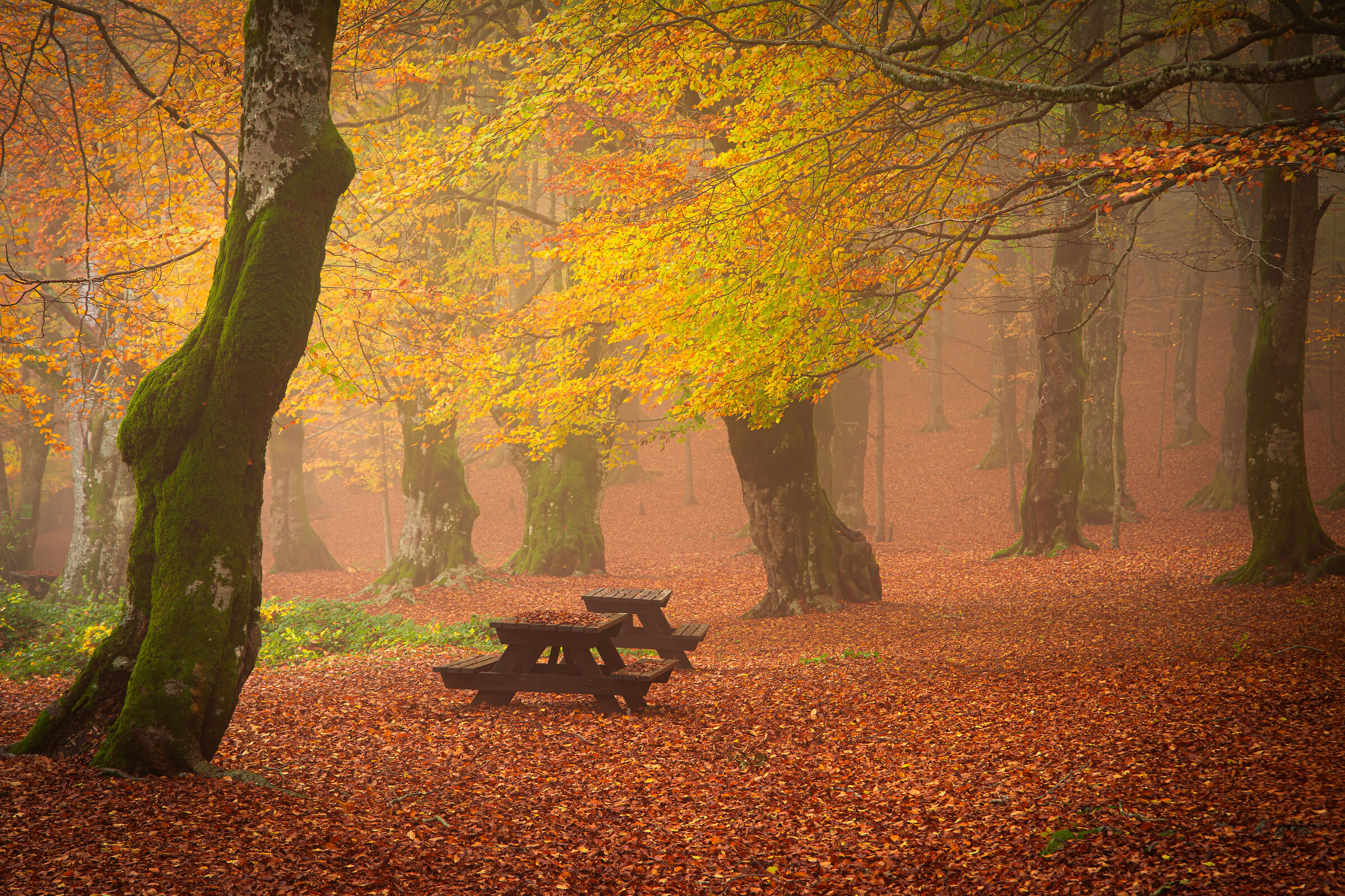 Untitled Photo