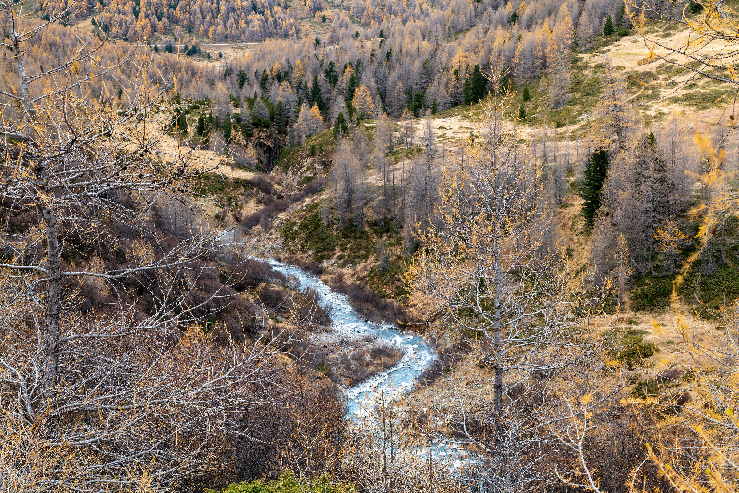 Azzurro in val Nera