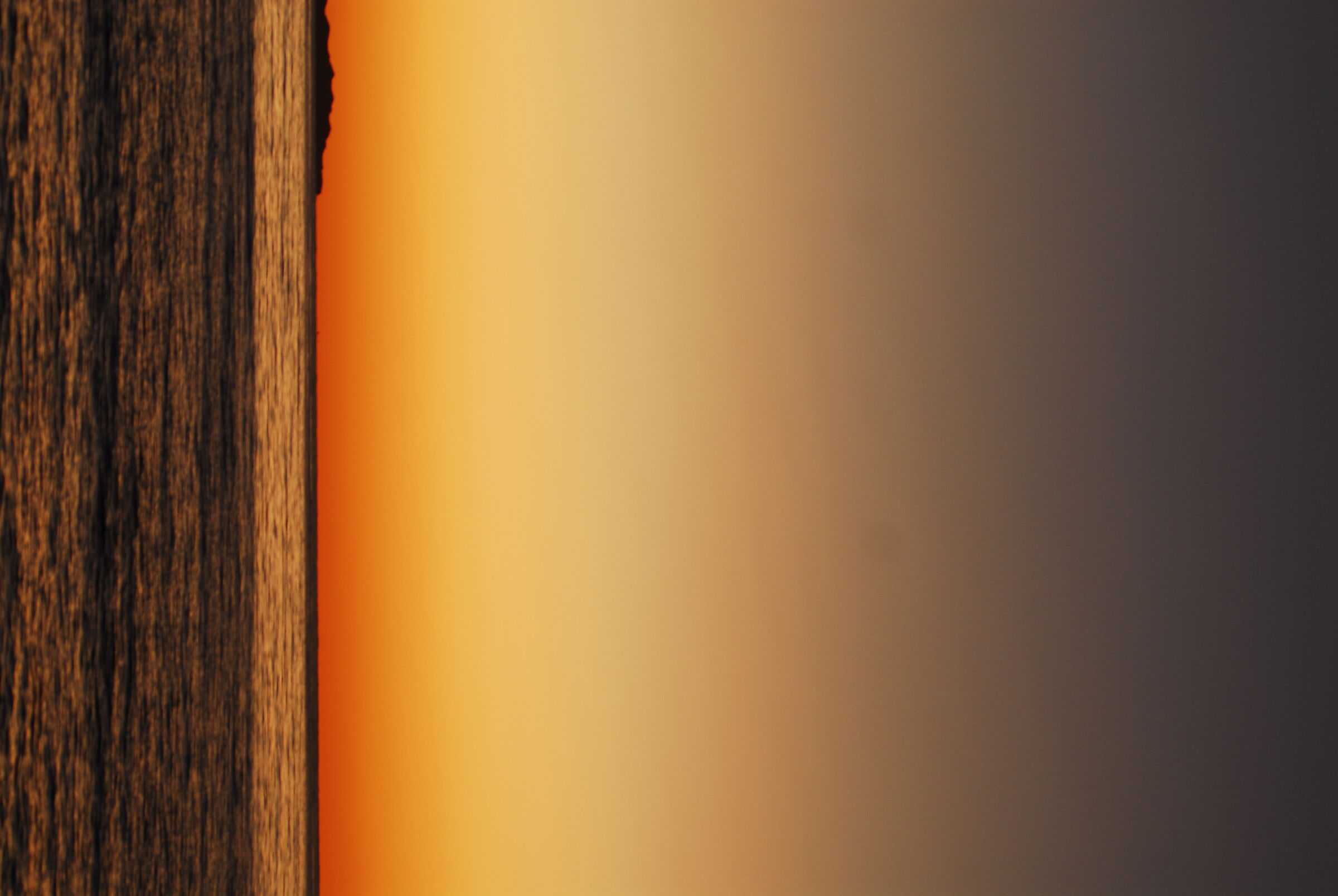 Evening at the beach