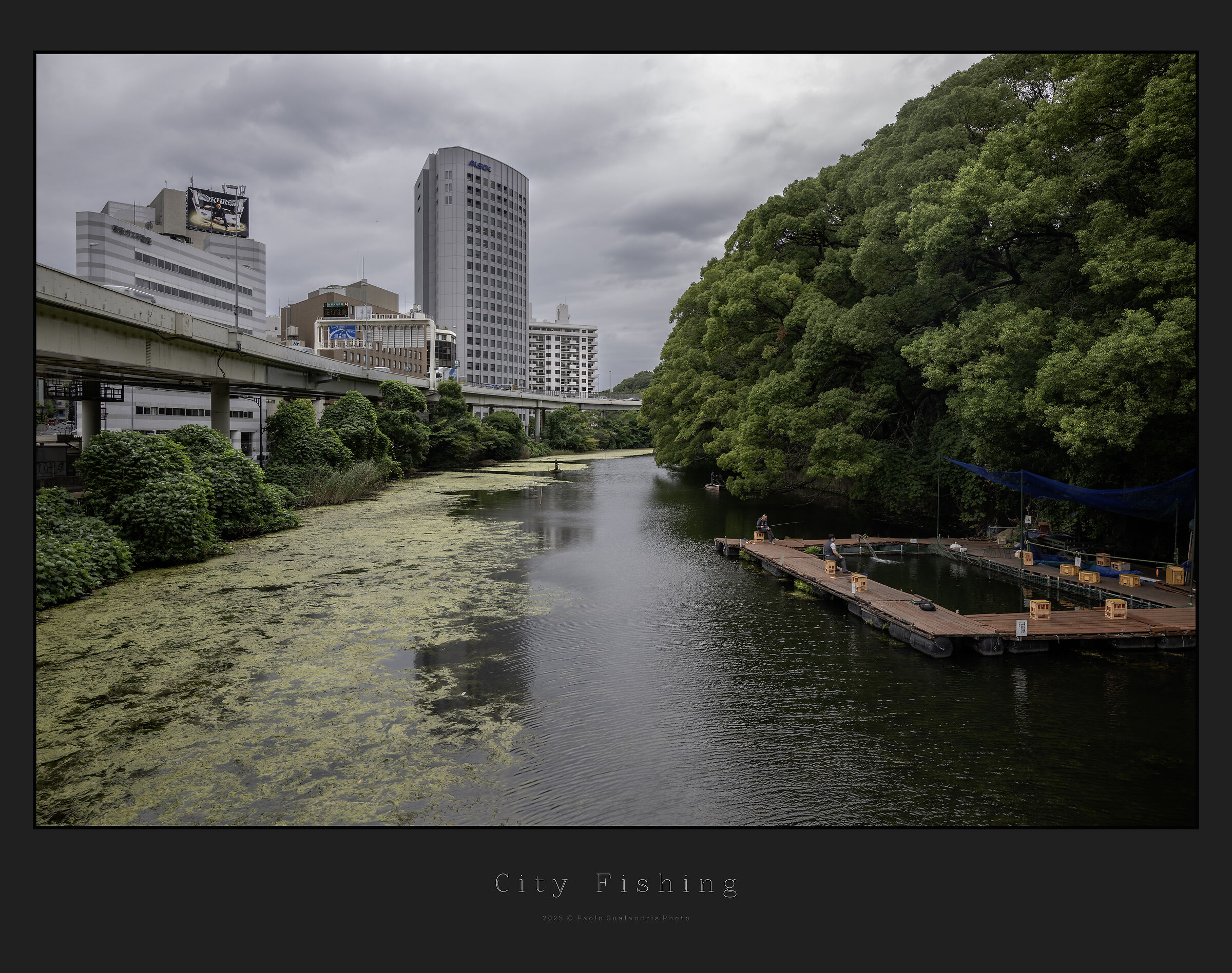 City Fishing