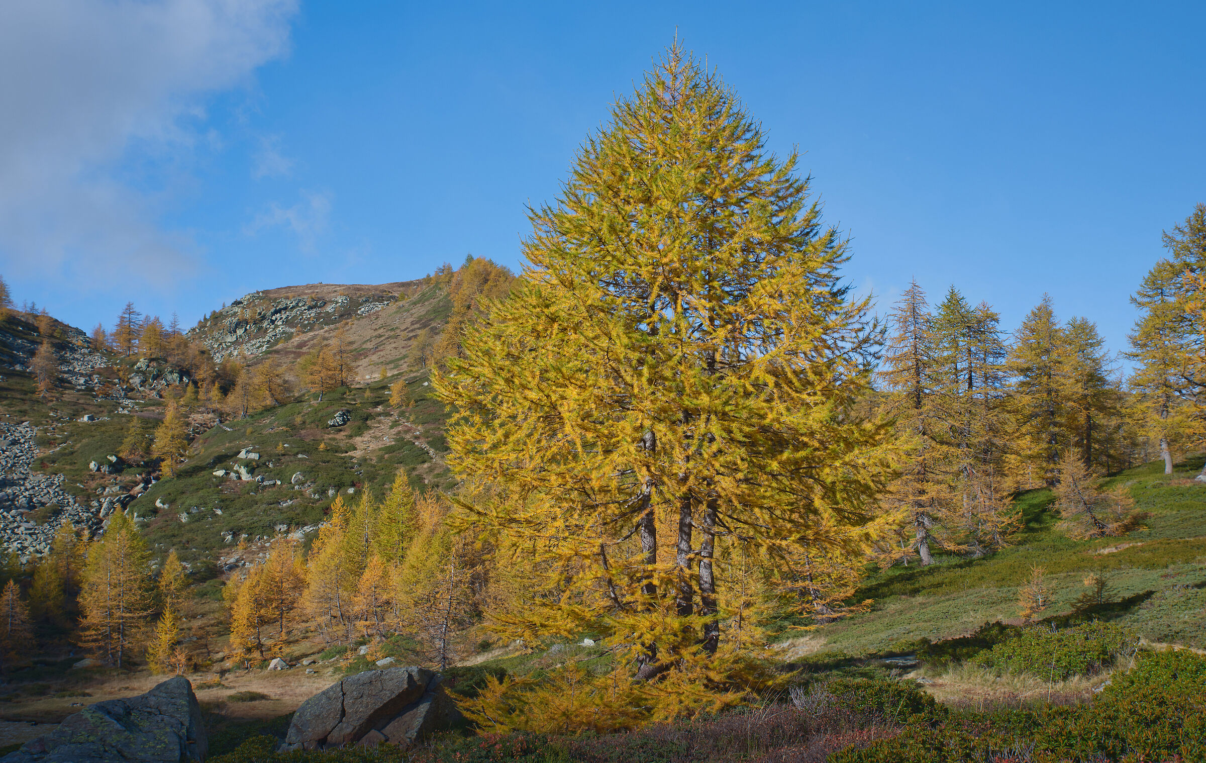 Alta Val Bognanco - the colours of autumn