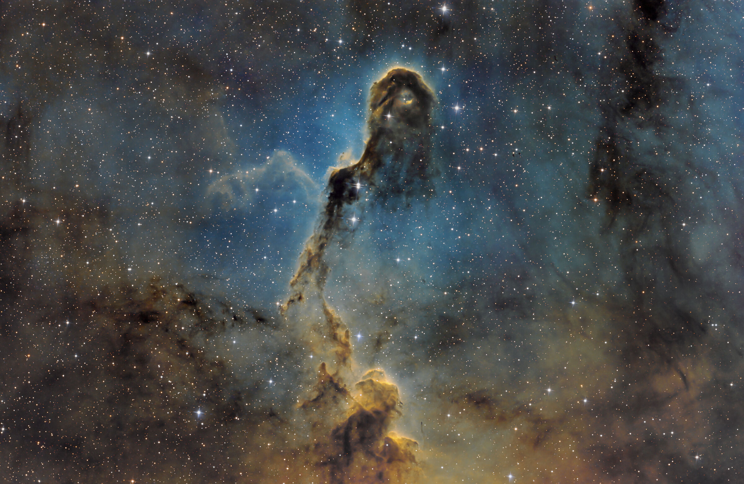 Elephant's Trunk Nebula