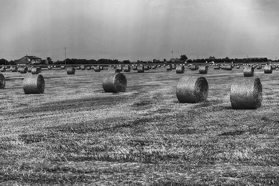 ...anch'io un po' di balle...