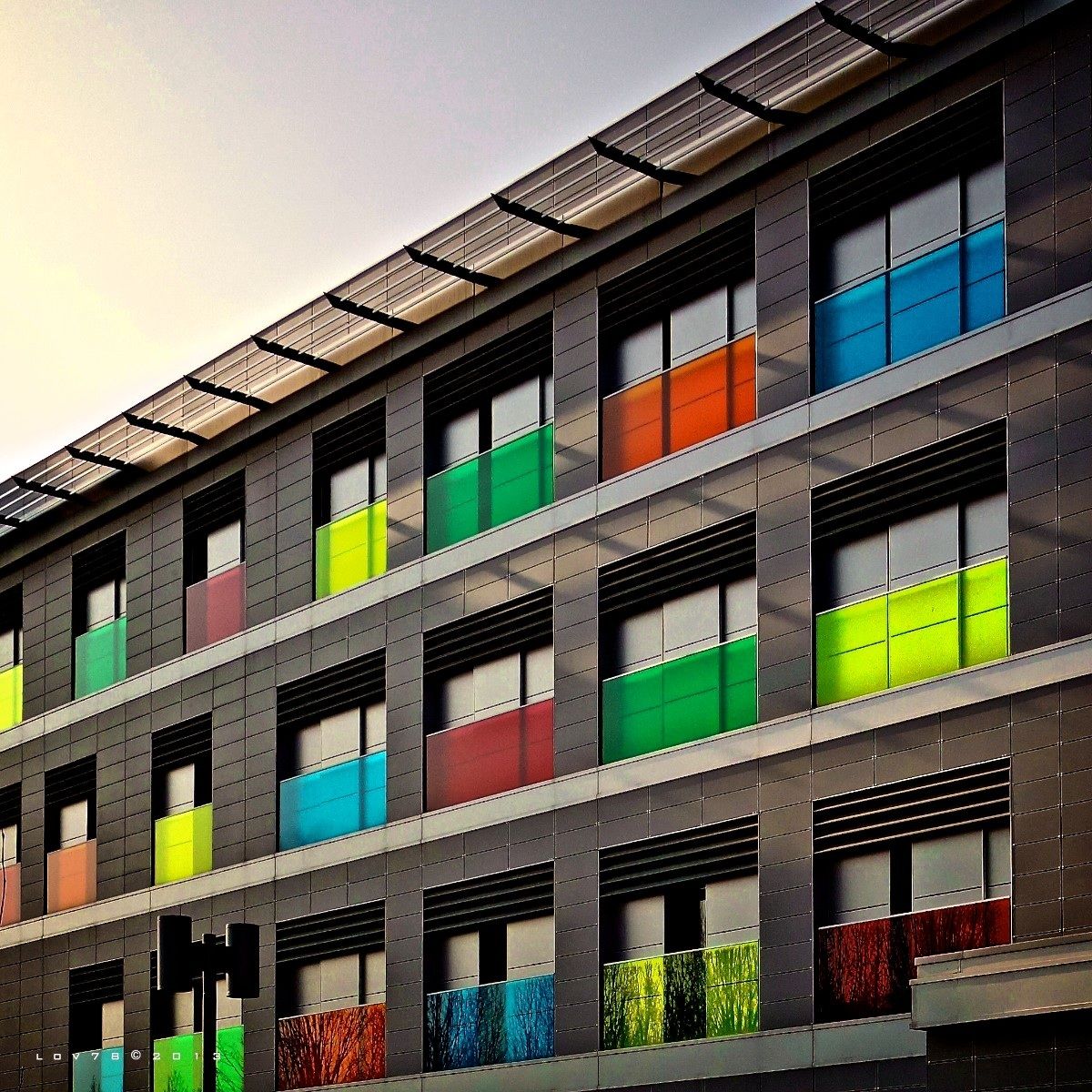 bologna work in progress