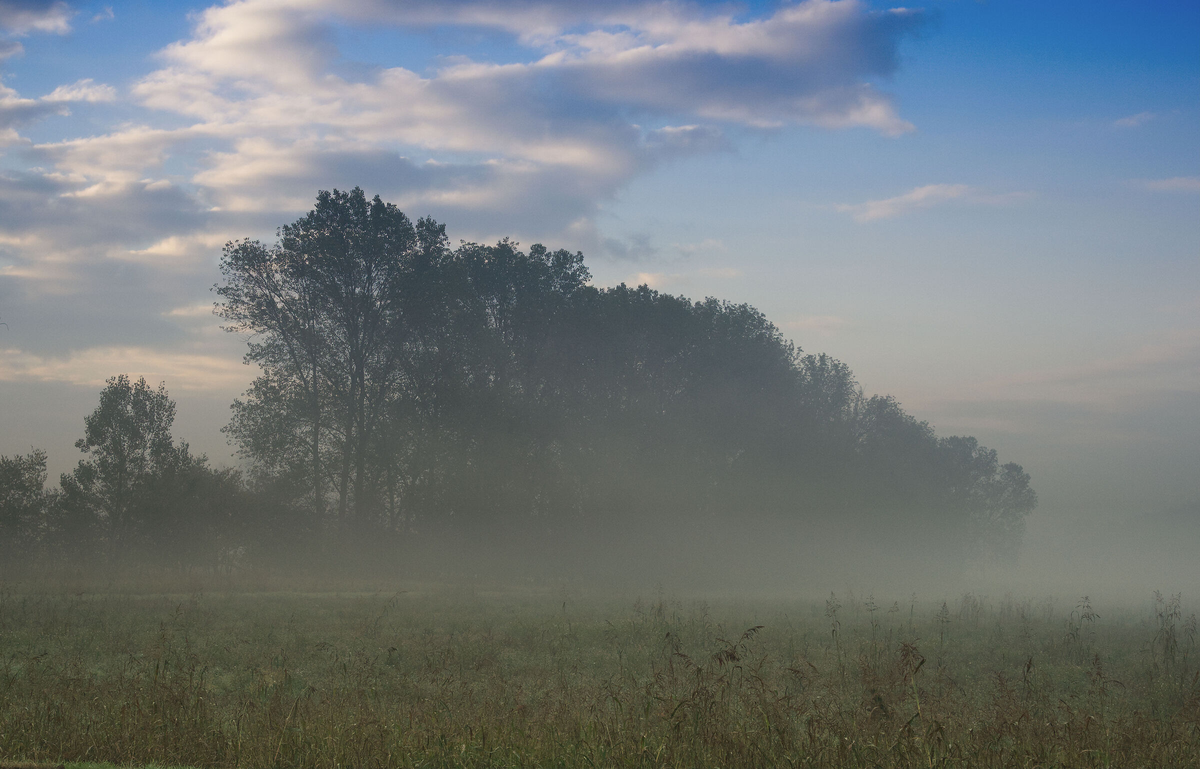 Clear sunrise over the fog
