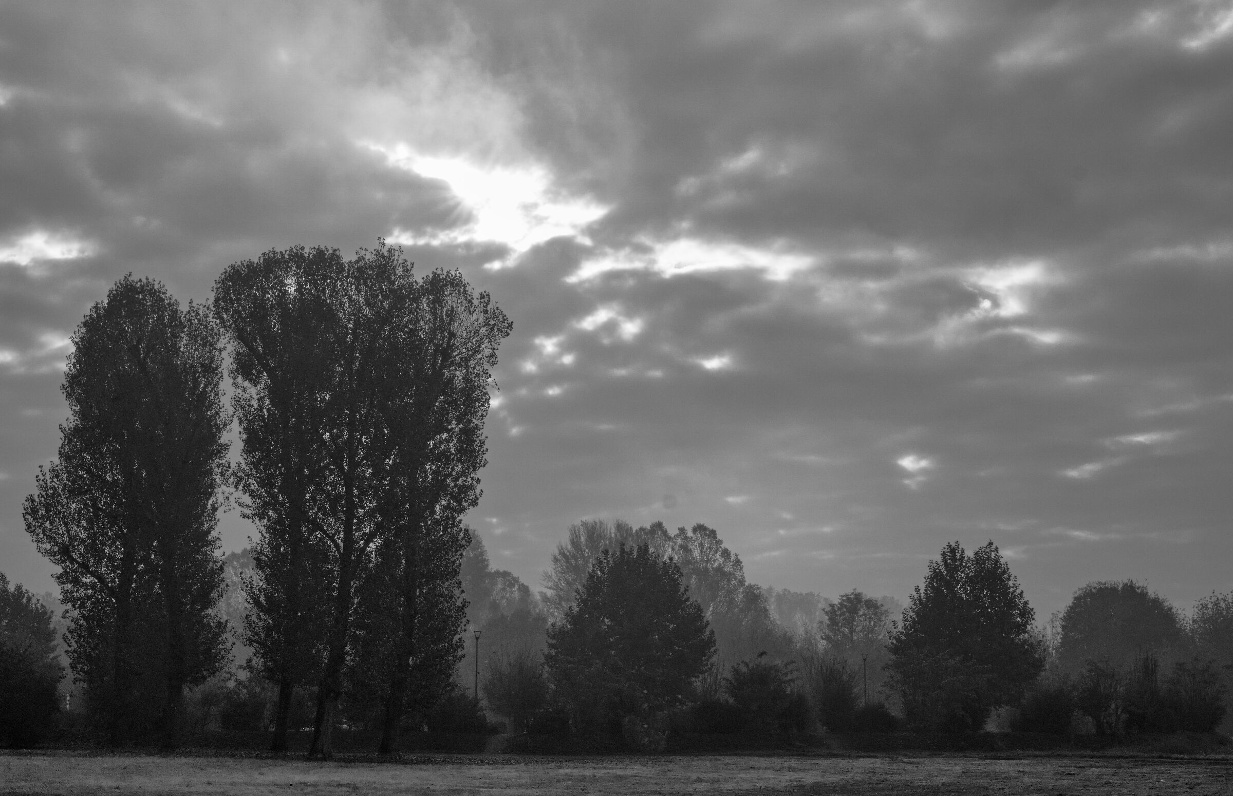 The tones of the moorland