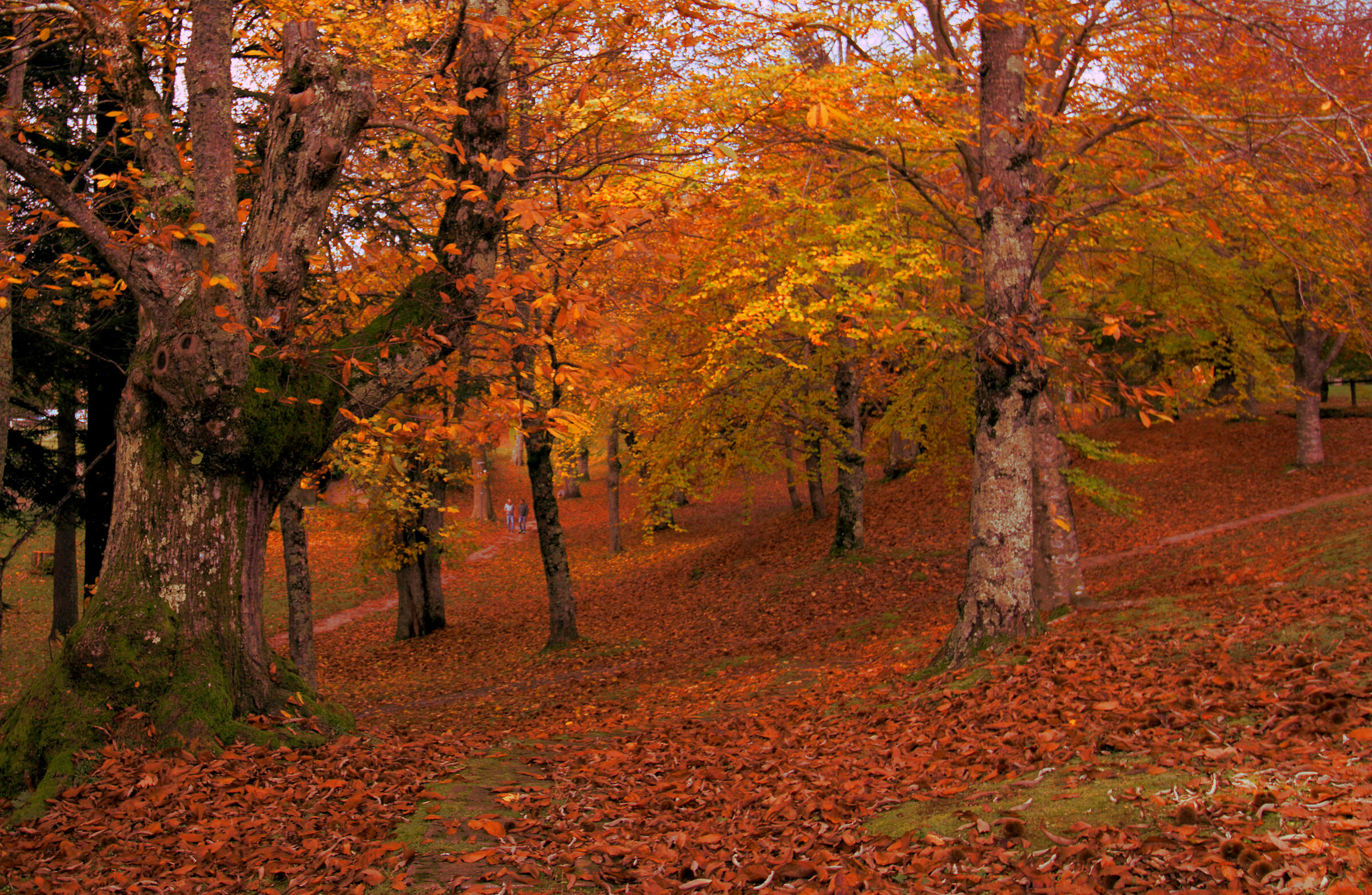 L'autunno in montagna