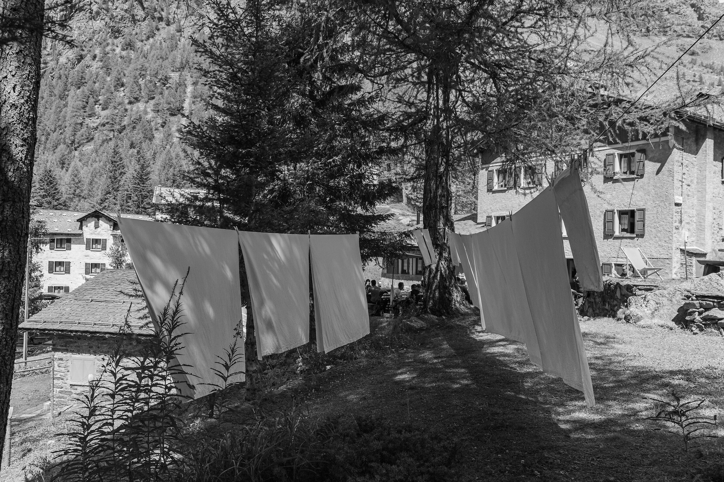 Sheets hung out at the ref. Mitta