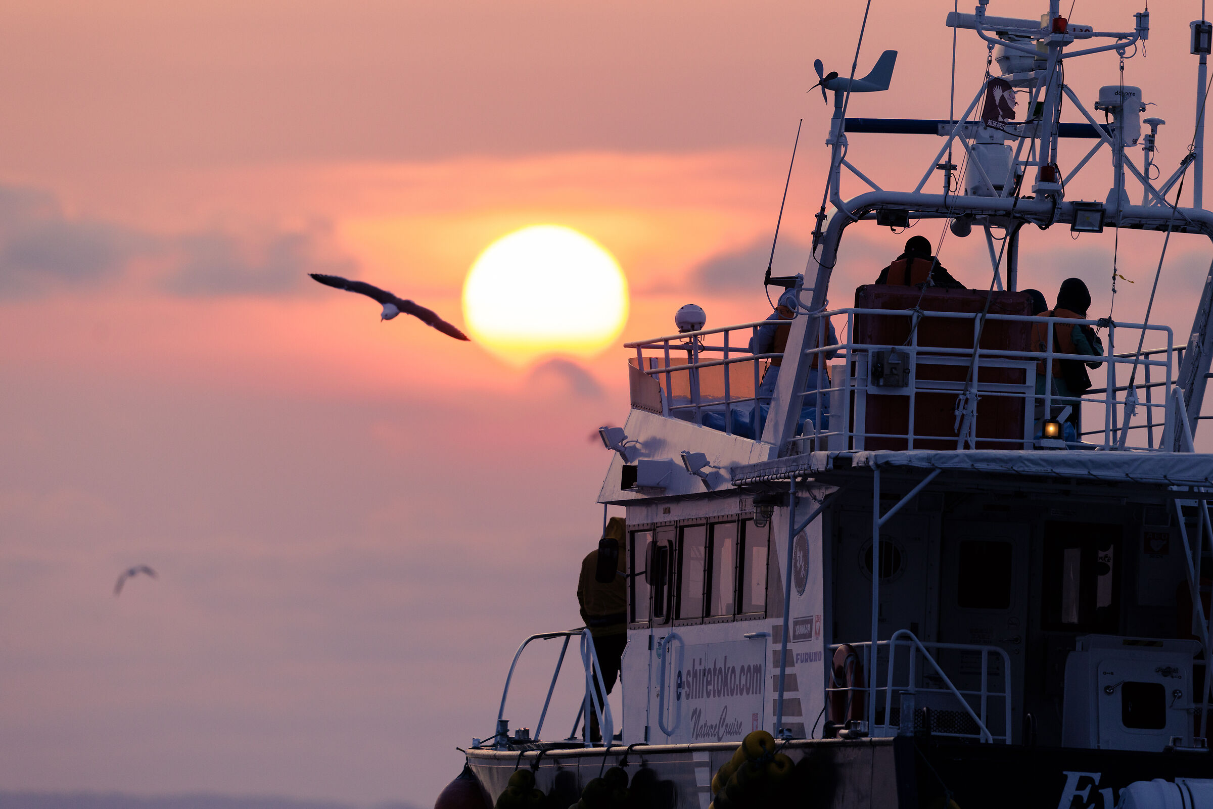 Rising sun