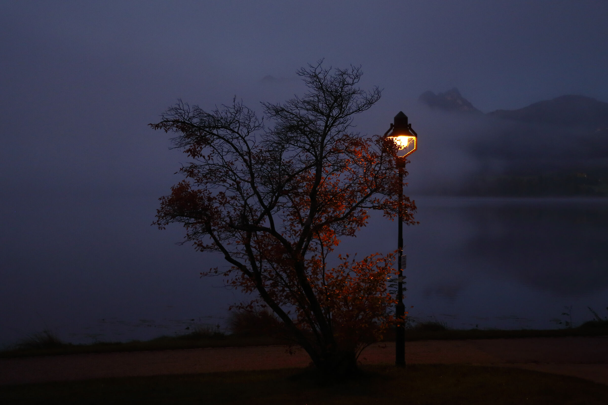 Before dawn