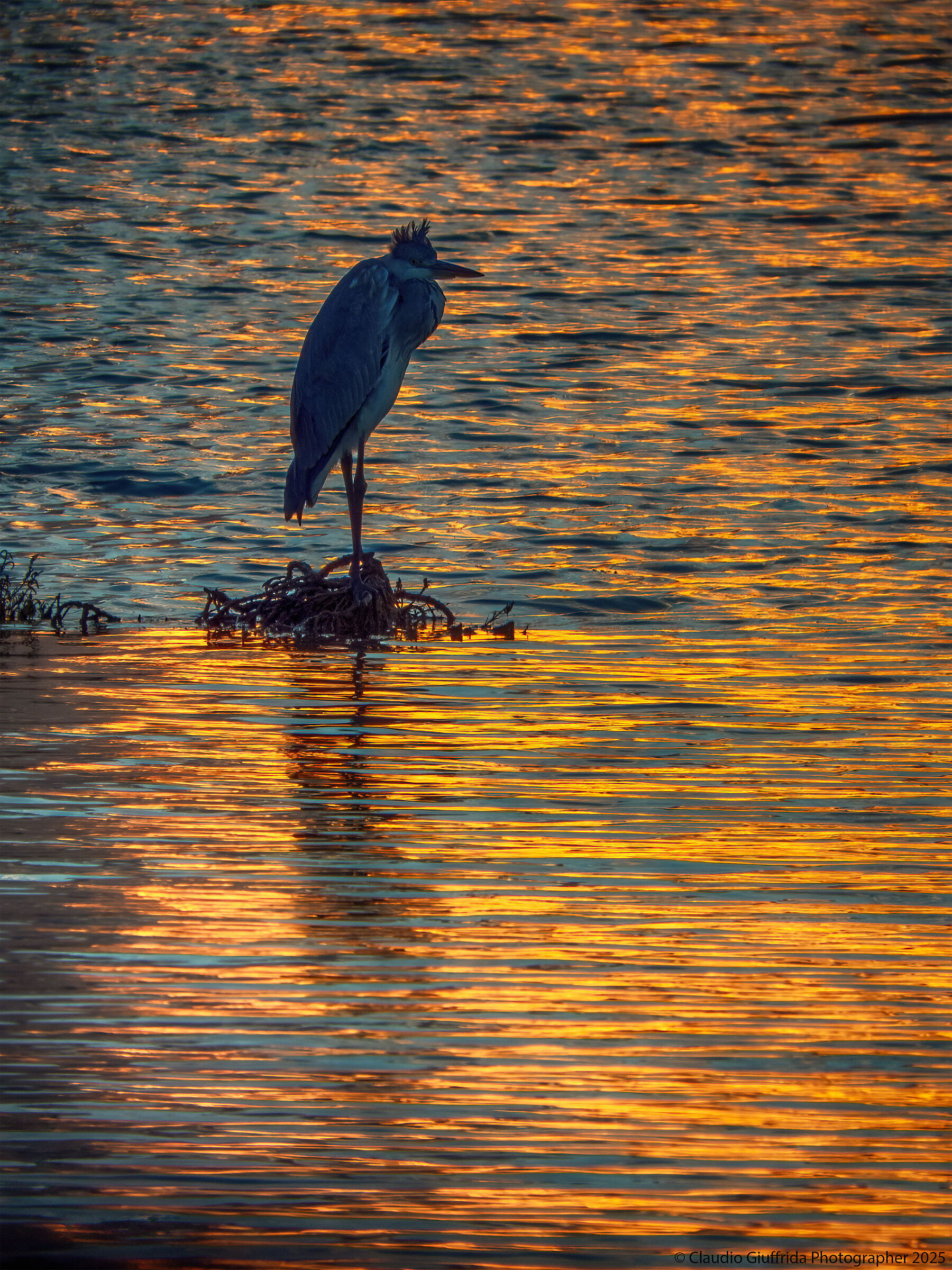 Un'altra giornata giunge al termine
