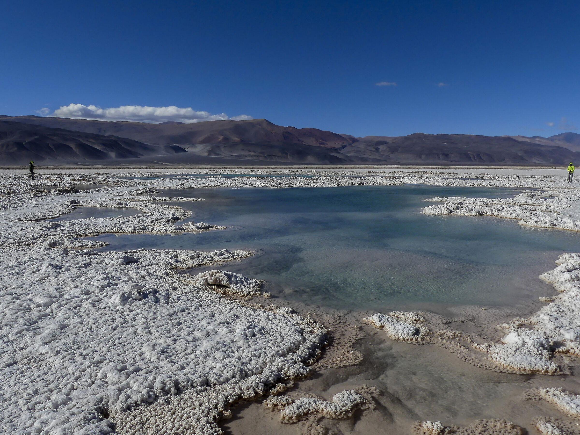 Salar di Antofalla - Green Lagoon n. 1