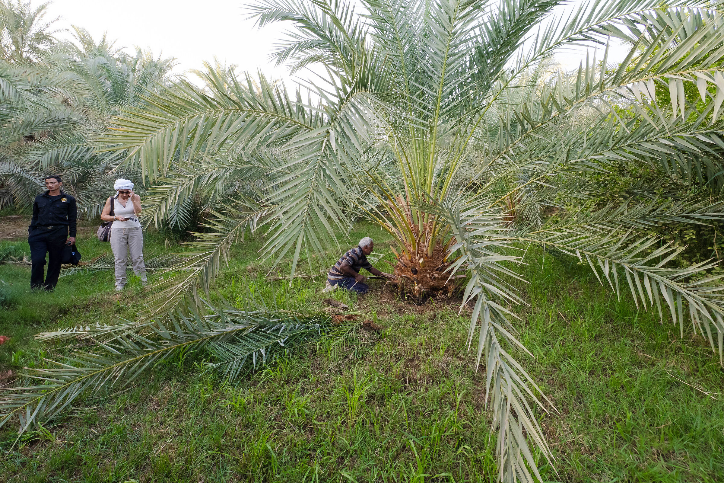 la potatura protetta!