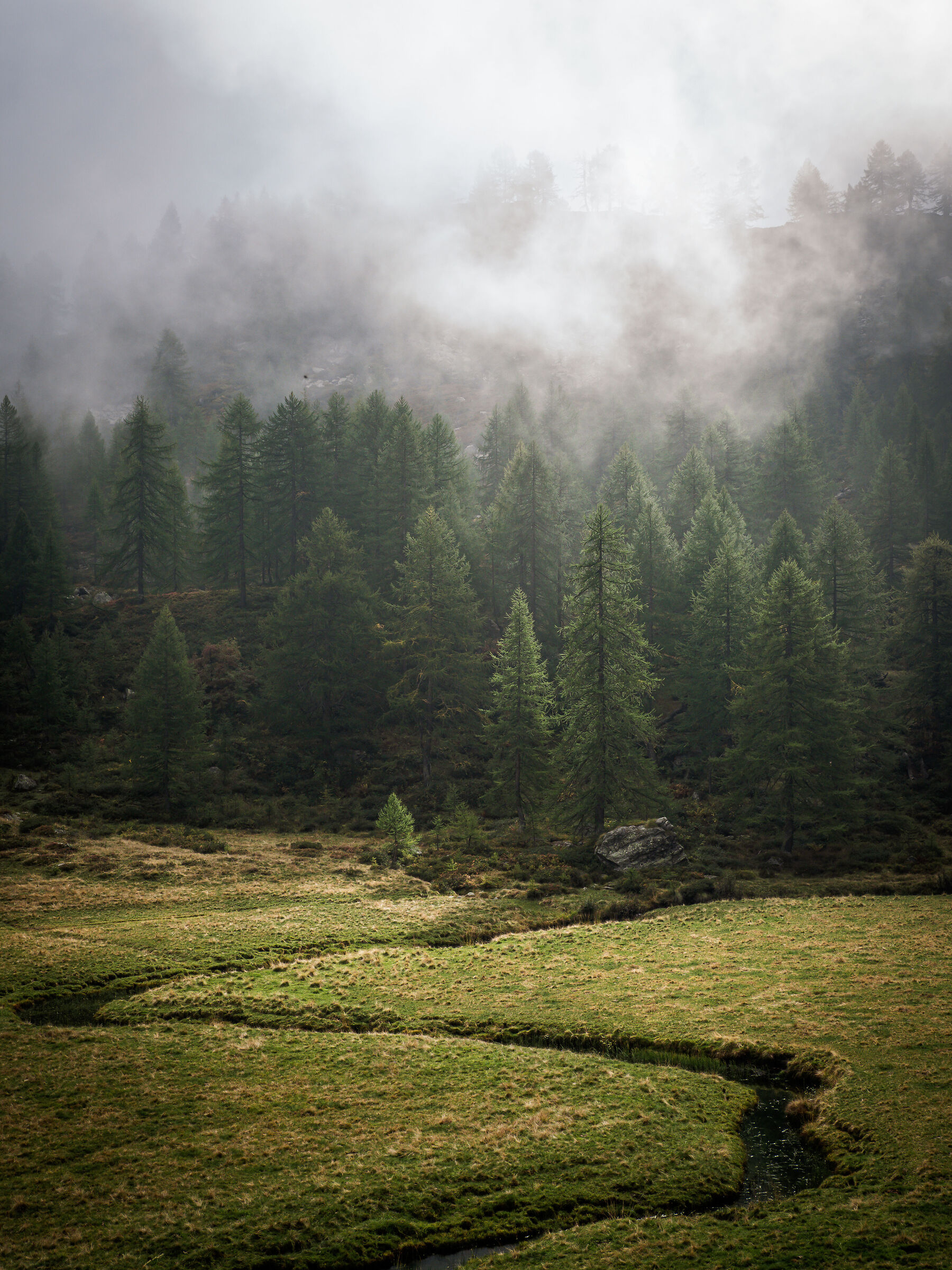 Low clouds