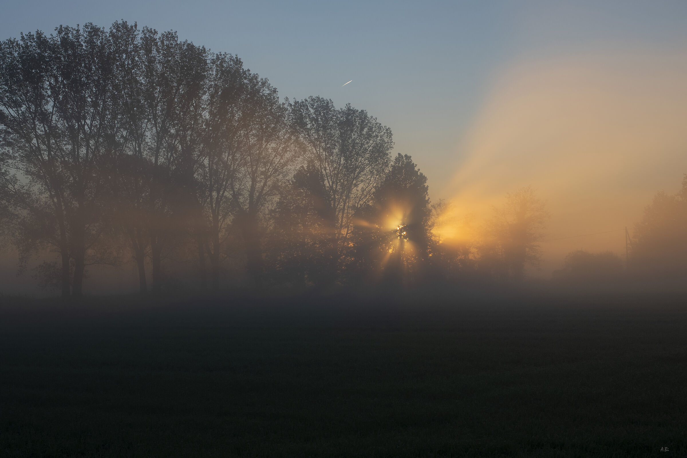 Un'alba nebbiosa