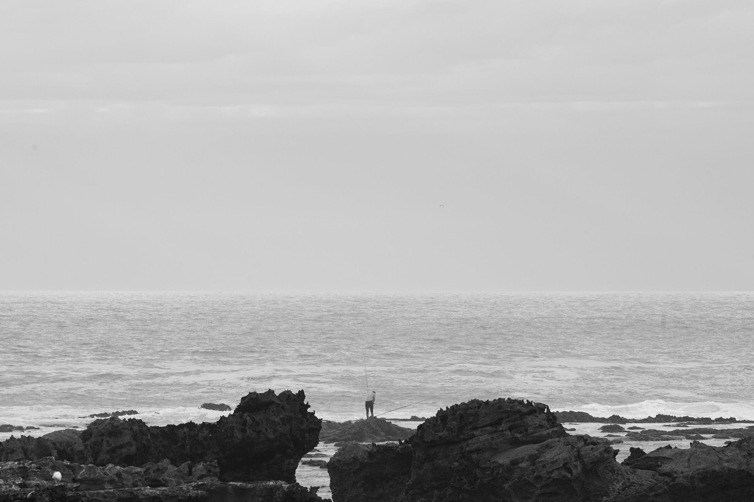 A pesca sull'oceano