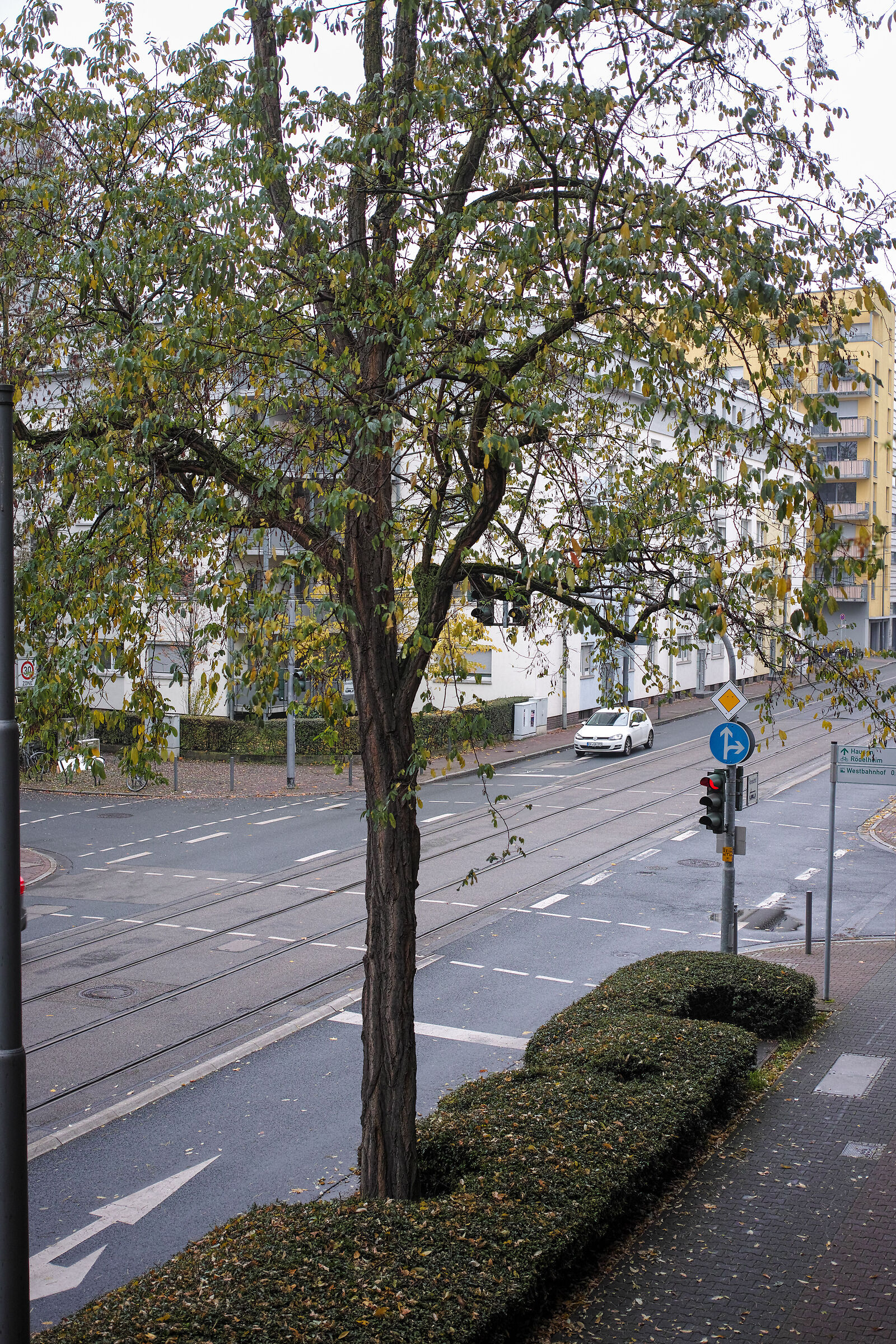 Strada autunnale di domenica