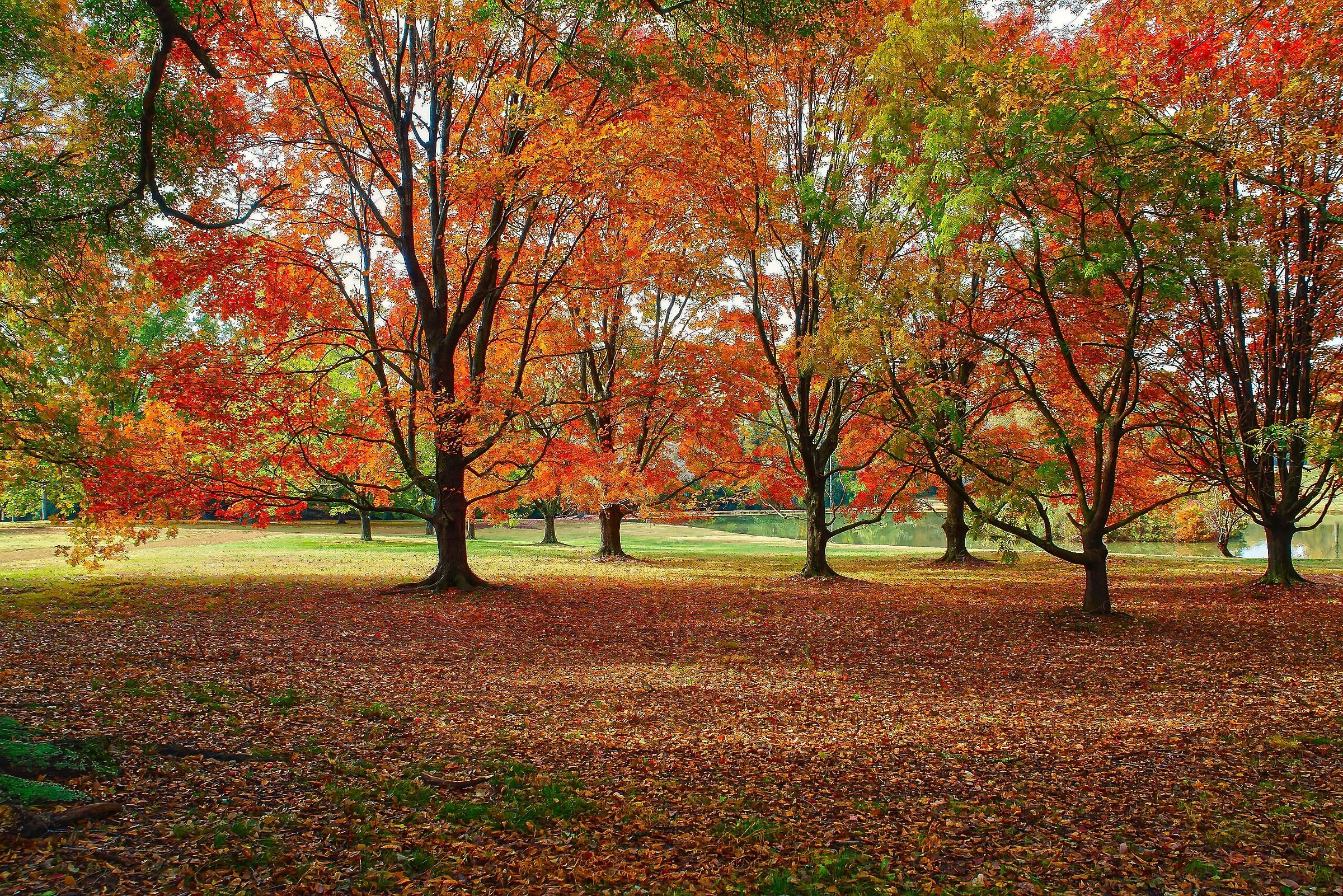 Millike Park con Sigma 20-200F3.5-6.3