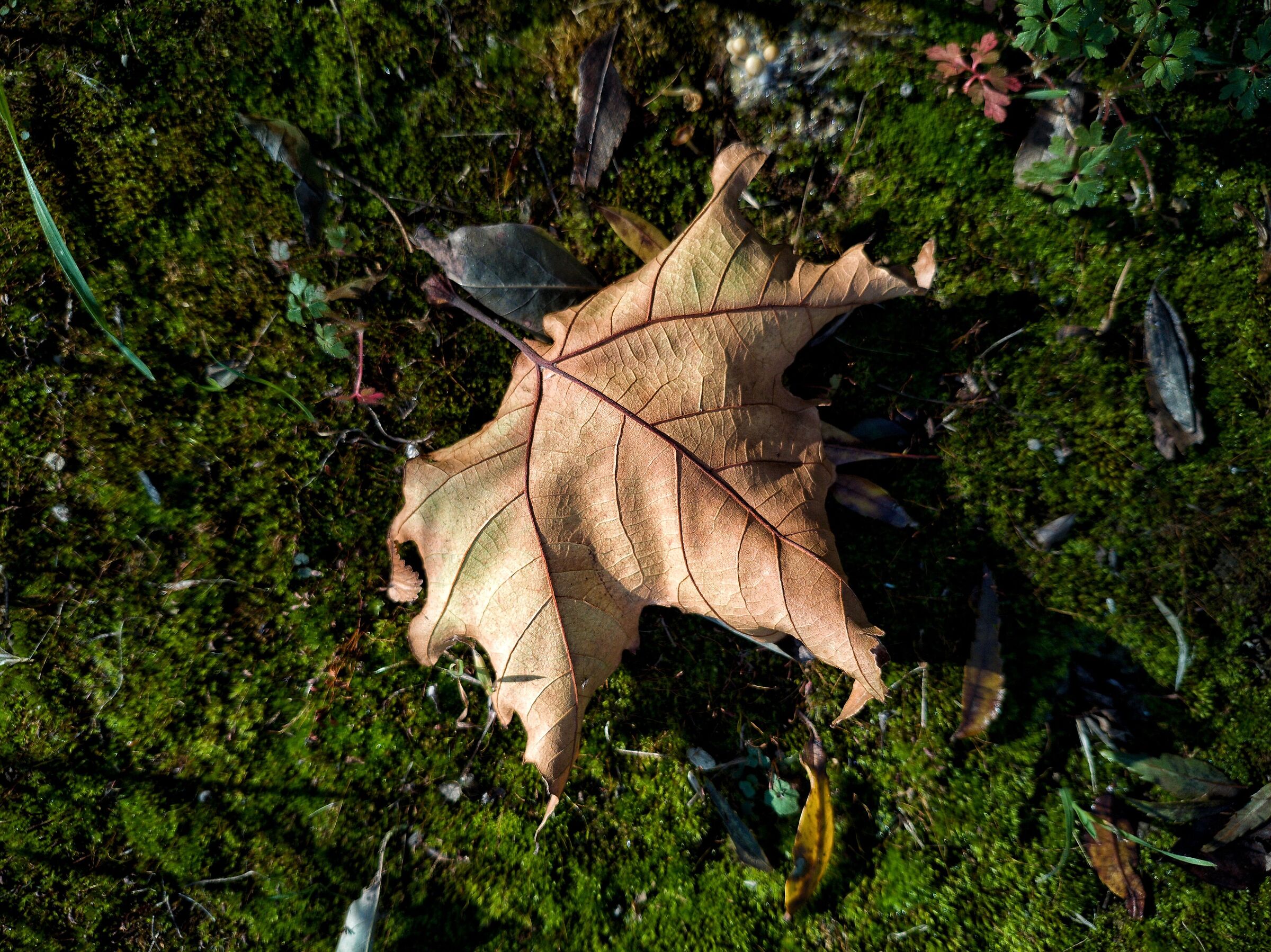 Untitled Photo
