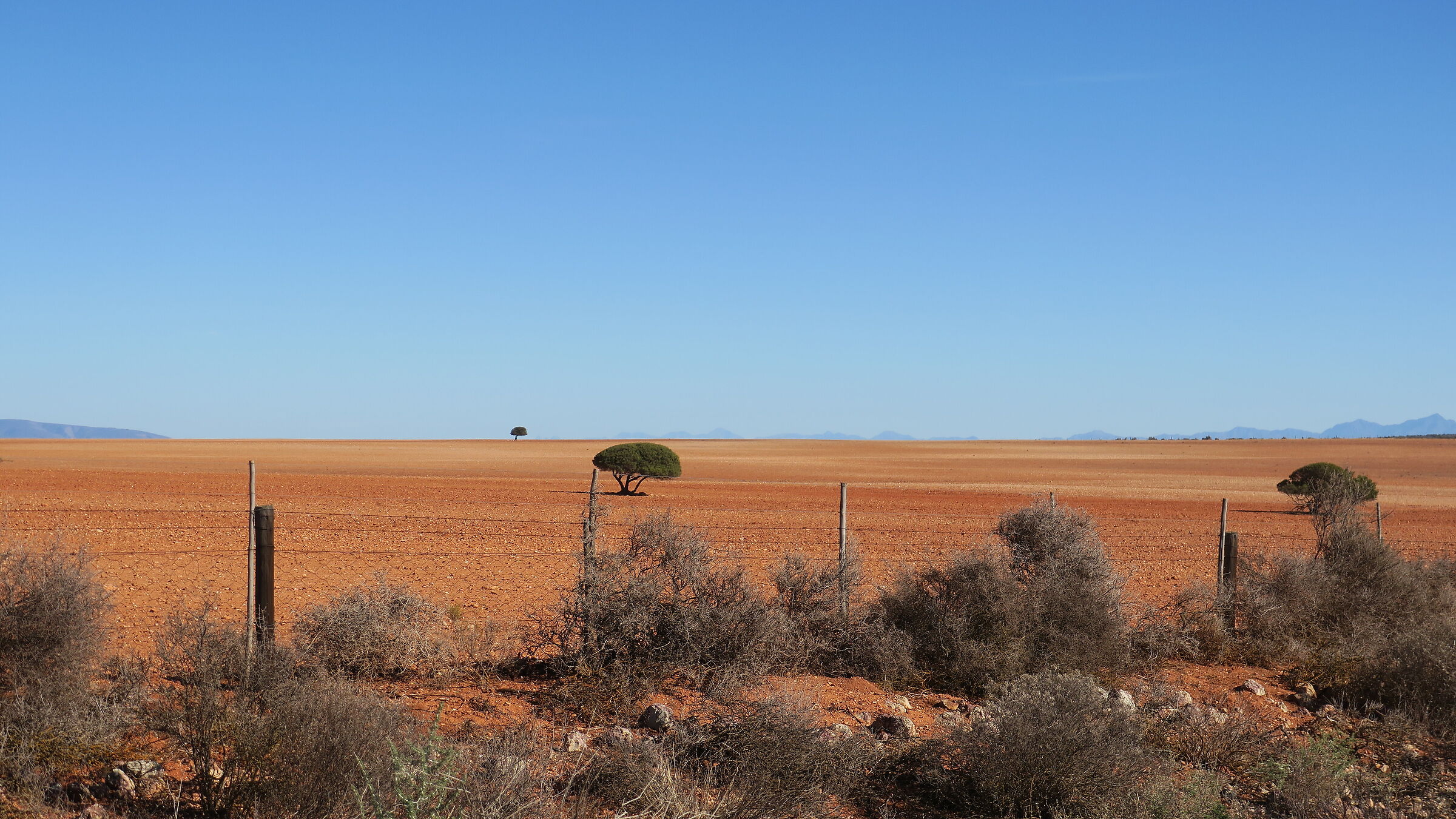 Desert, Oudtshoorn, South Africa