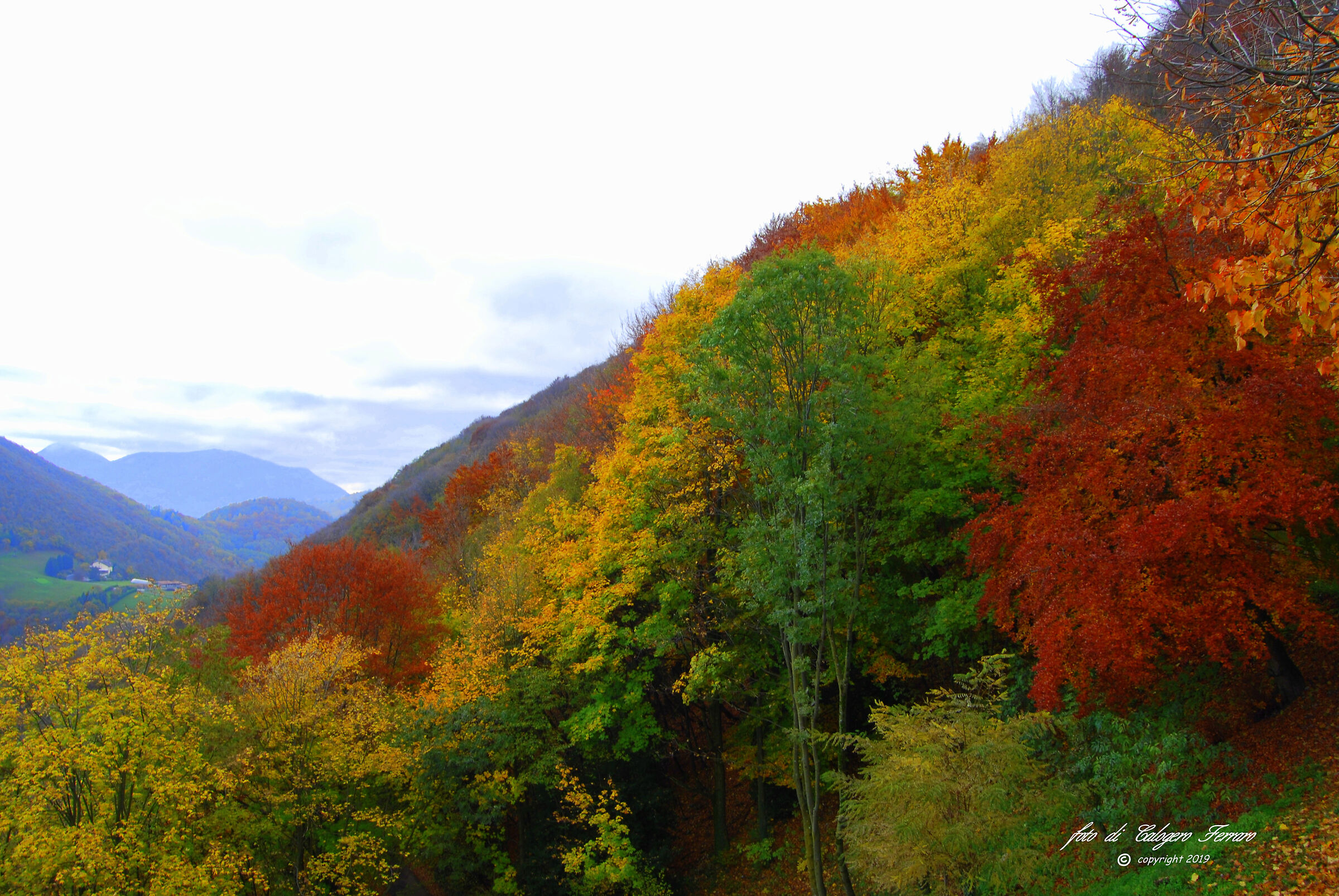 Autumn colours - Altino hamlet of Albino (BG)