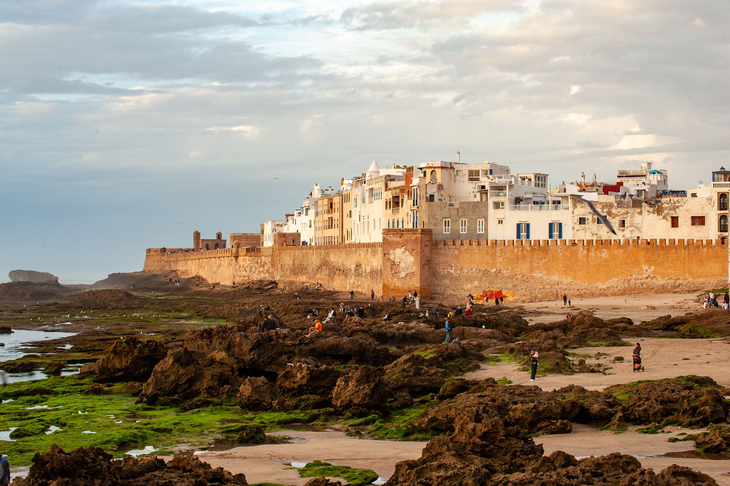 Essaouira a colori
