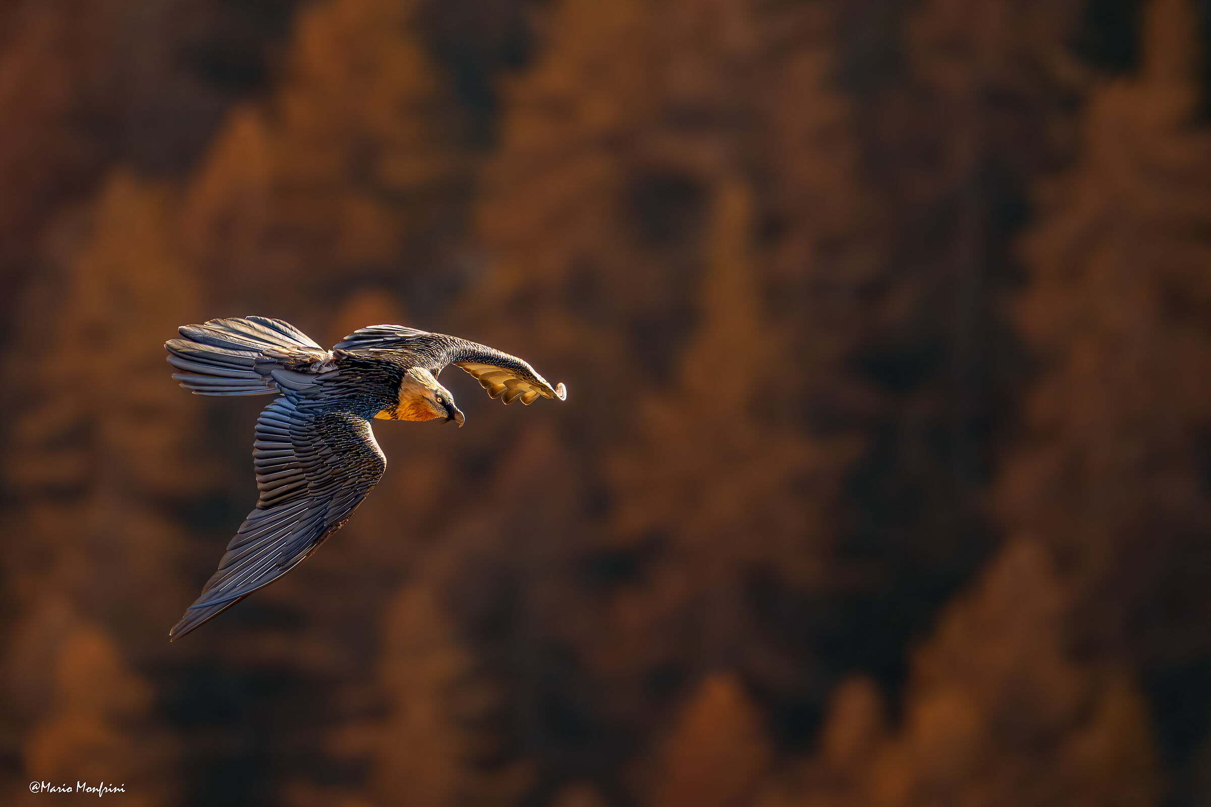 L'autunno al pngp