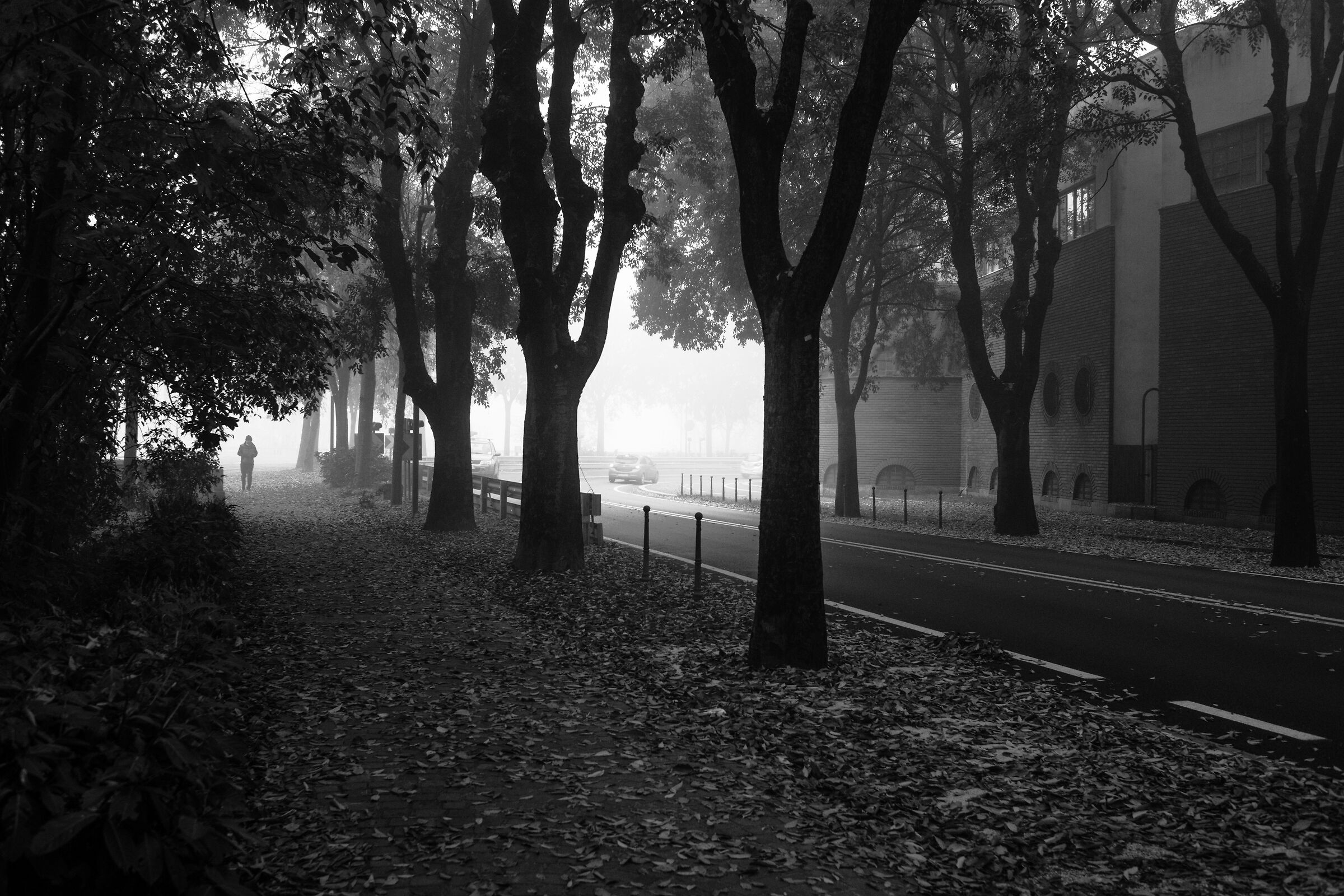 Stamattina sembra ci sia nebbia sul Ticino