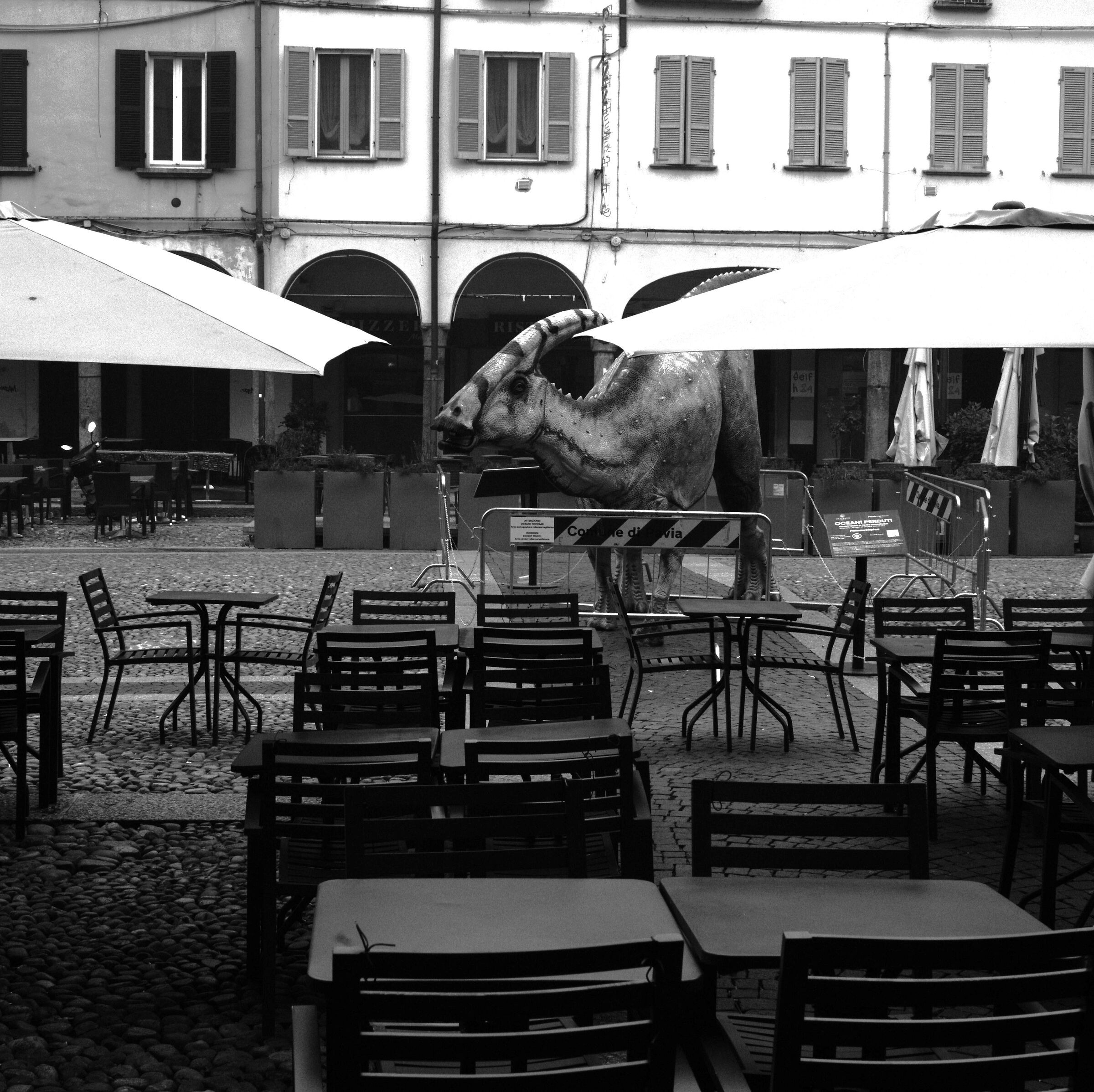 il primo caffe domenica mattina